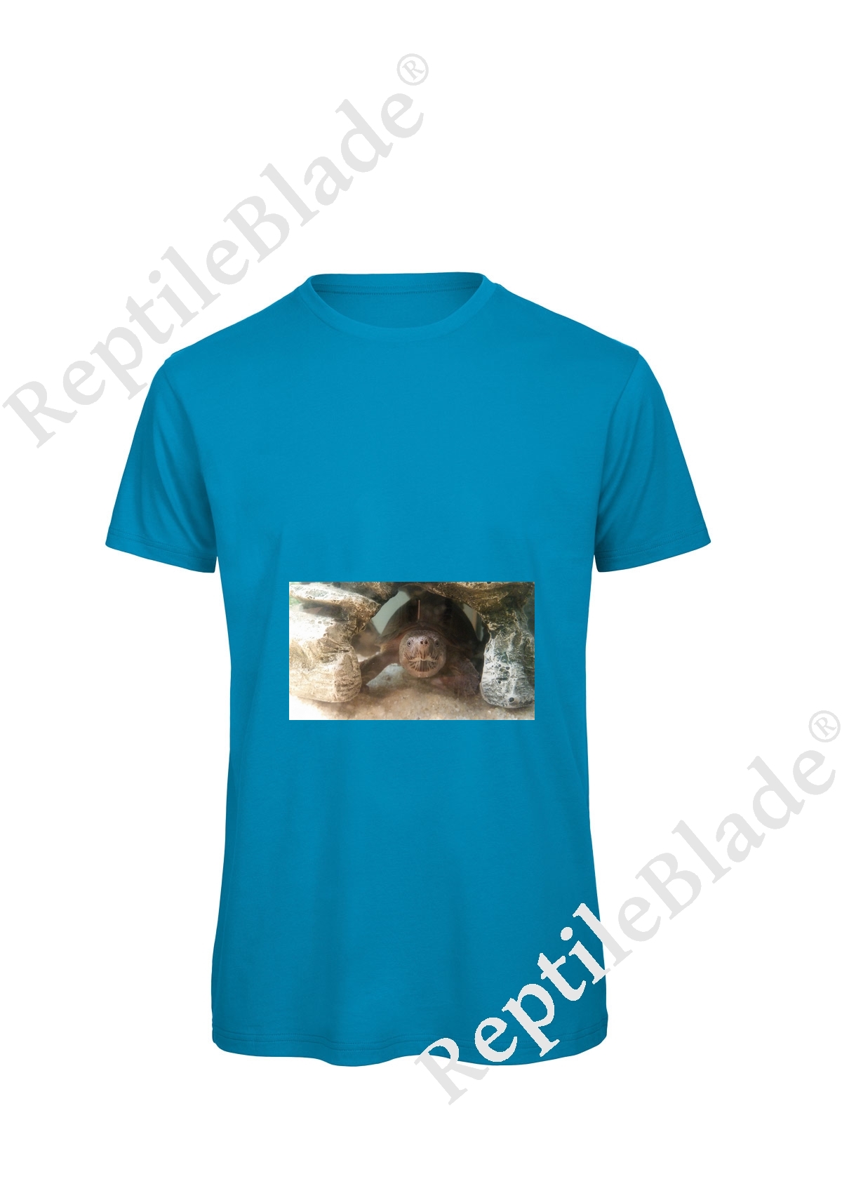 Miniature T-shirt homme "Lilo tortues"