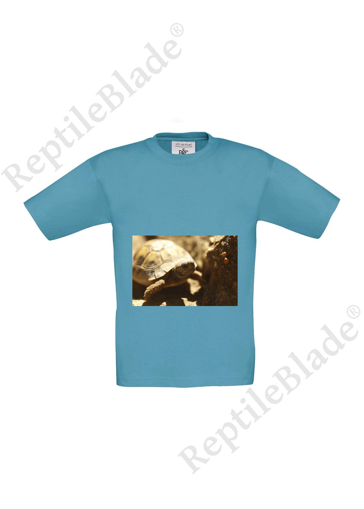 Miniature T-shirt enfant "Lilo tortues"