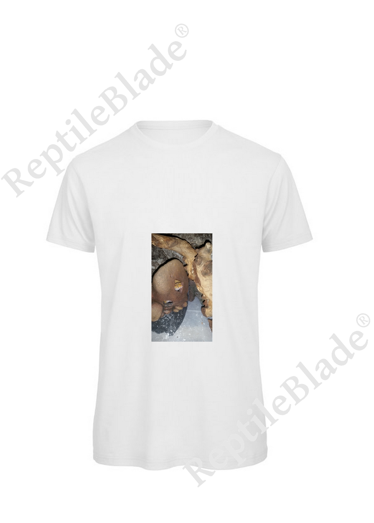 Miniature T-shirt homme "Lilo tortues"