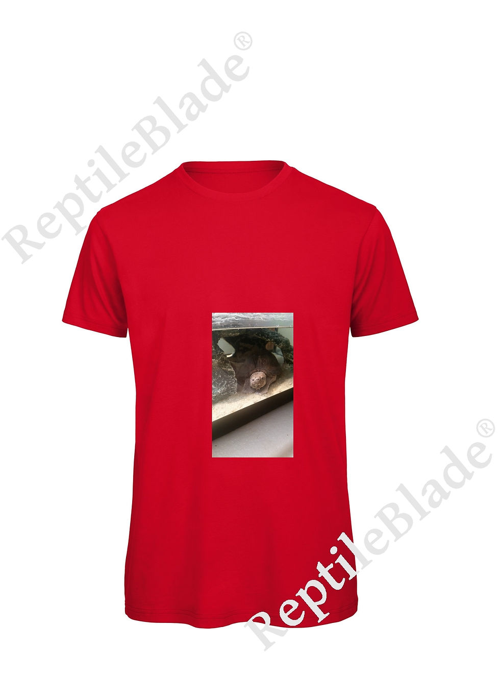 サムネイル： T-shirt homme "Lilo tortues"