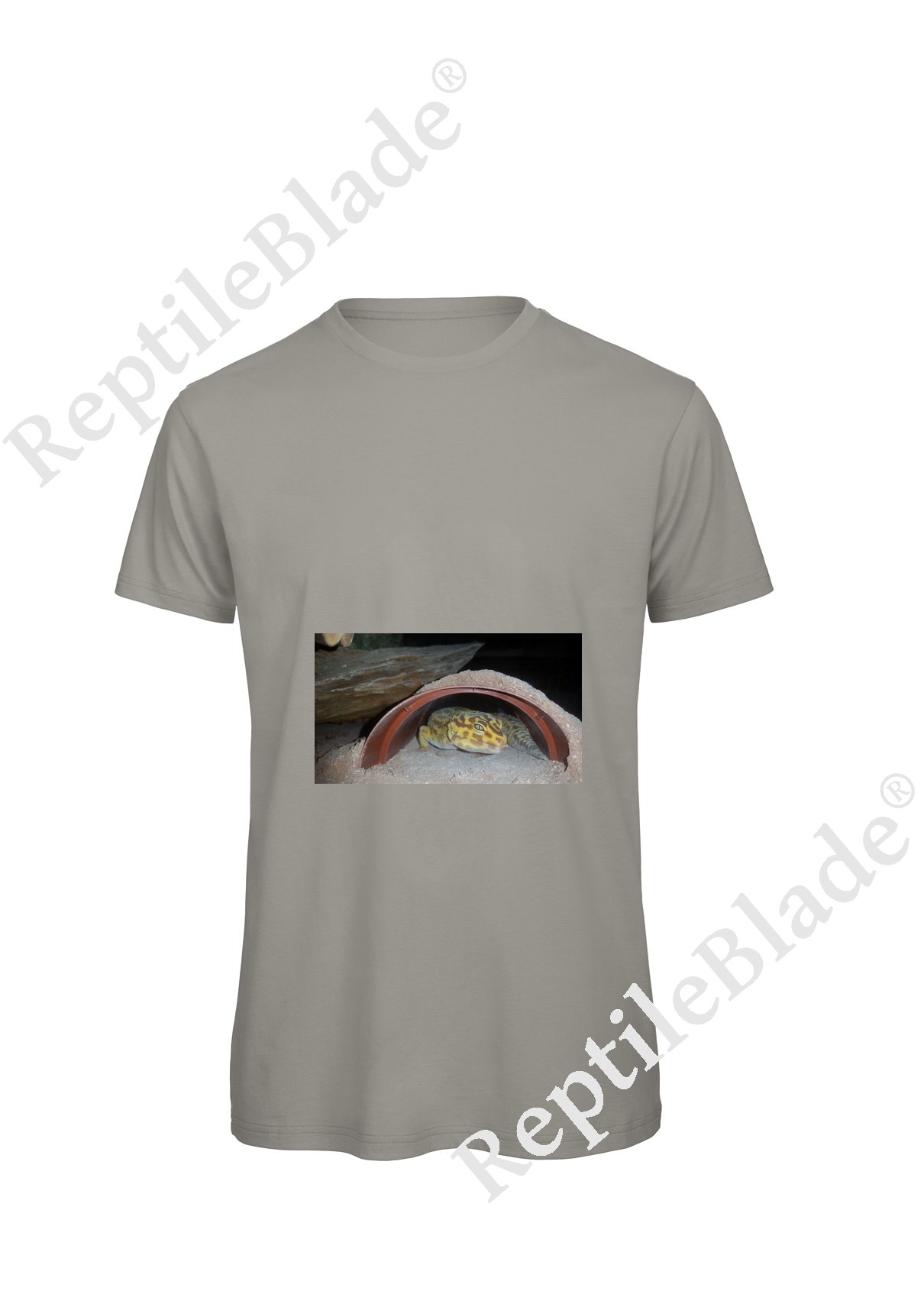 Miniature T-shirt homme "Lilo tortues"