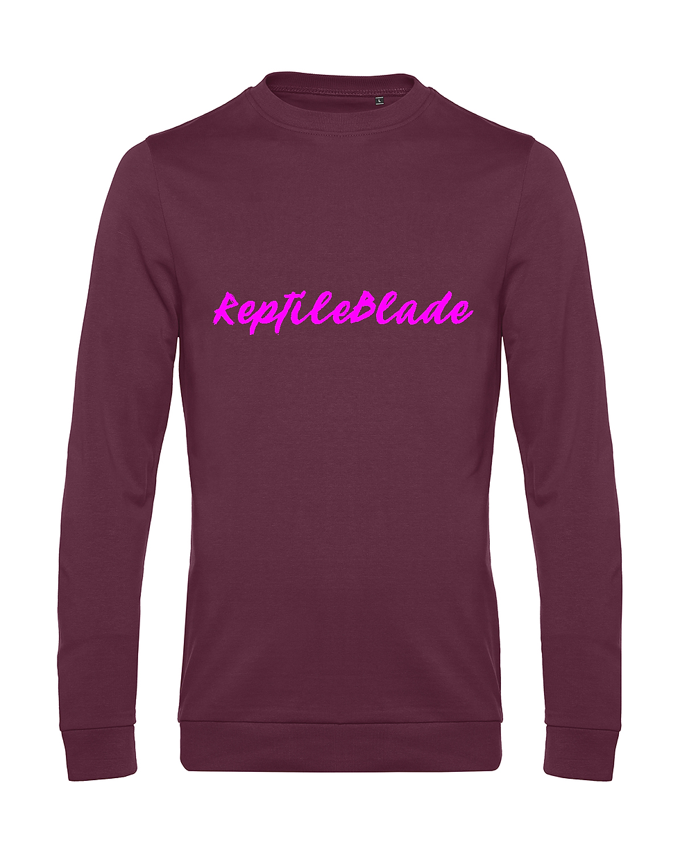 Thumbnail: Sweat-shirt homme "ReptileBlade"