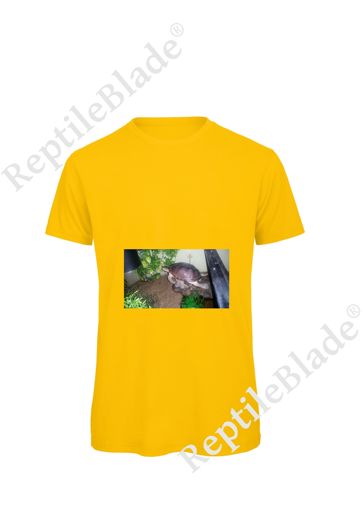 Miniature T-shirt homme "Lilo tortues"