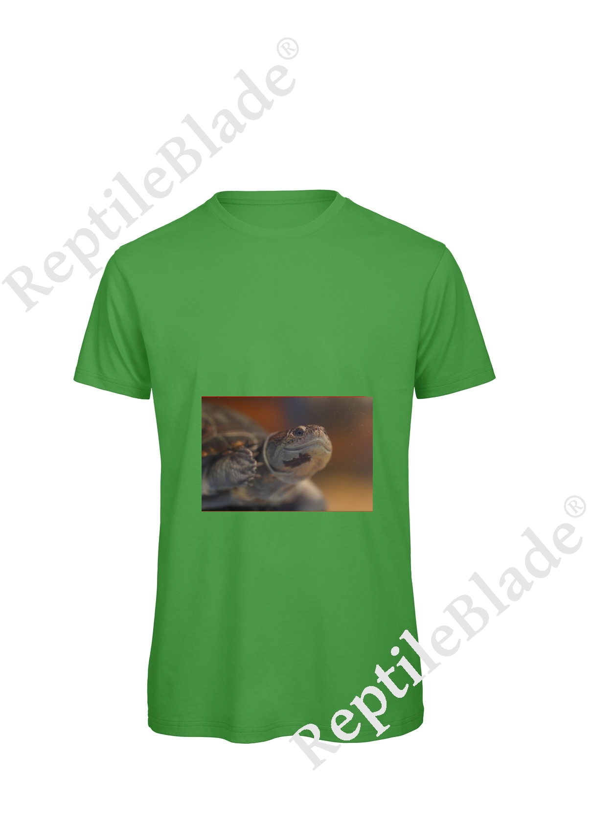 Miniature T-shirt homme "Lilo Tortues"