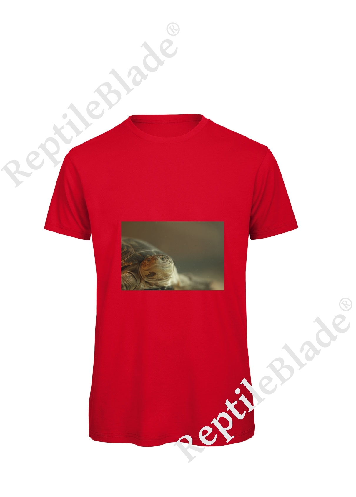 Miniature T-shirt homme "Lilo Tortues"