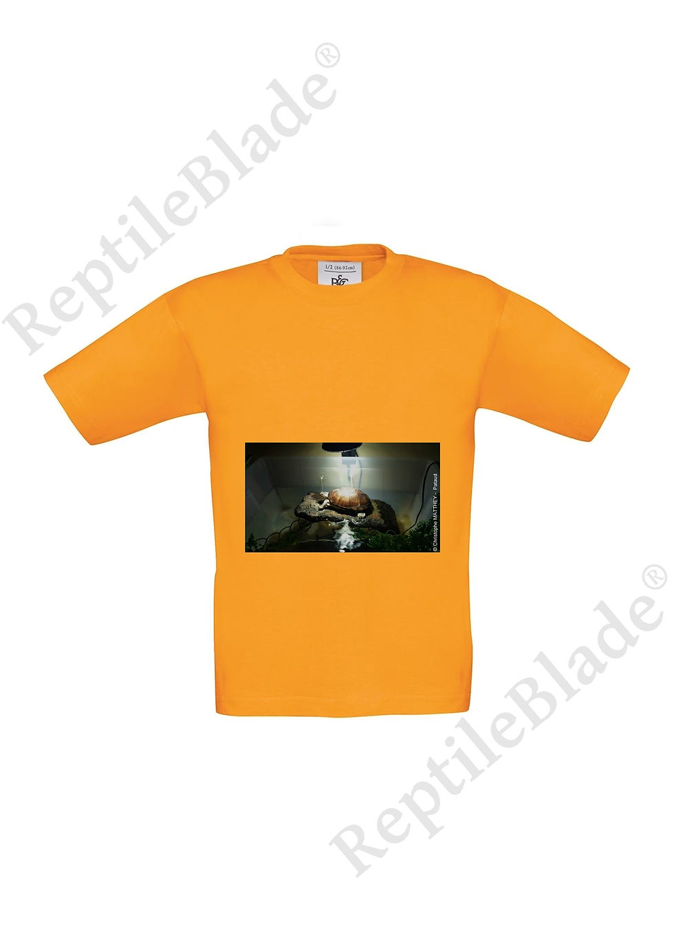 Miniatura: T-shirt enfant "Lilo tortues"