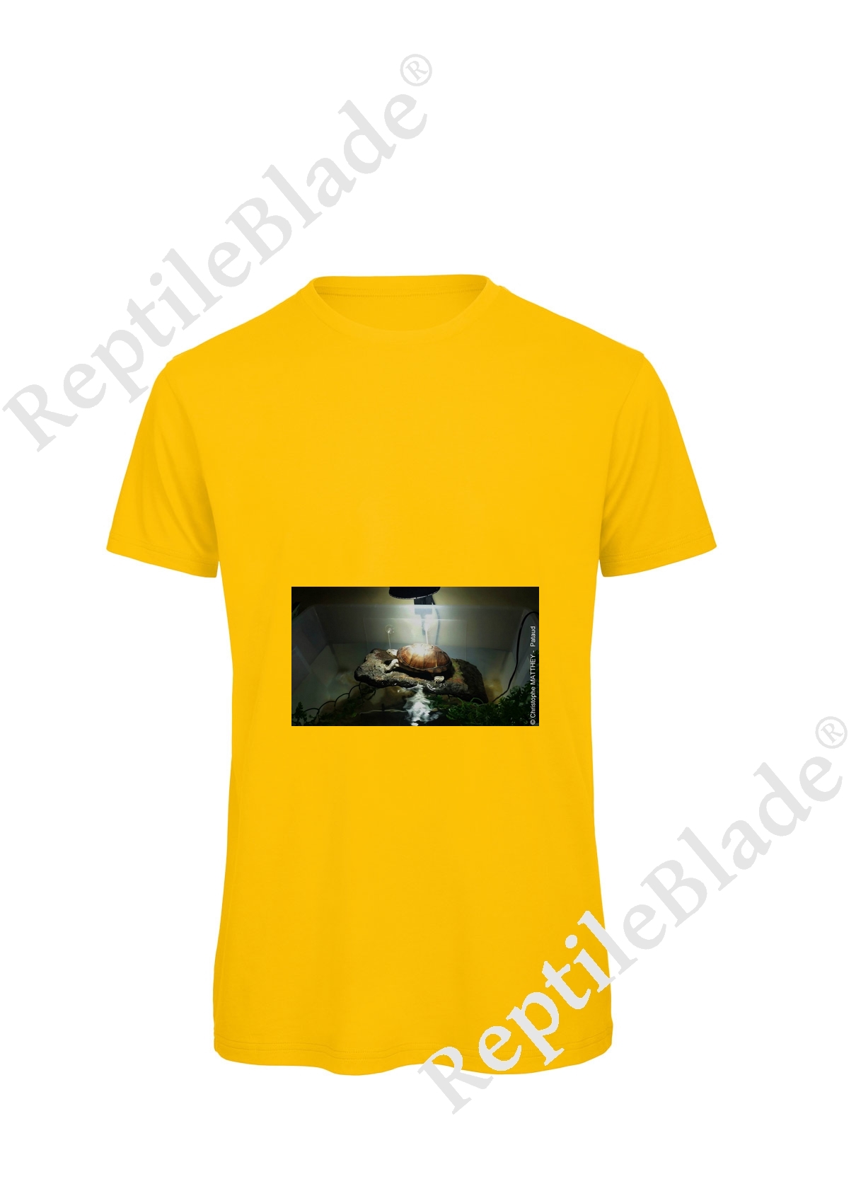 Miniature T-shirt homme "Lilo tortues"