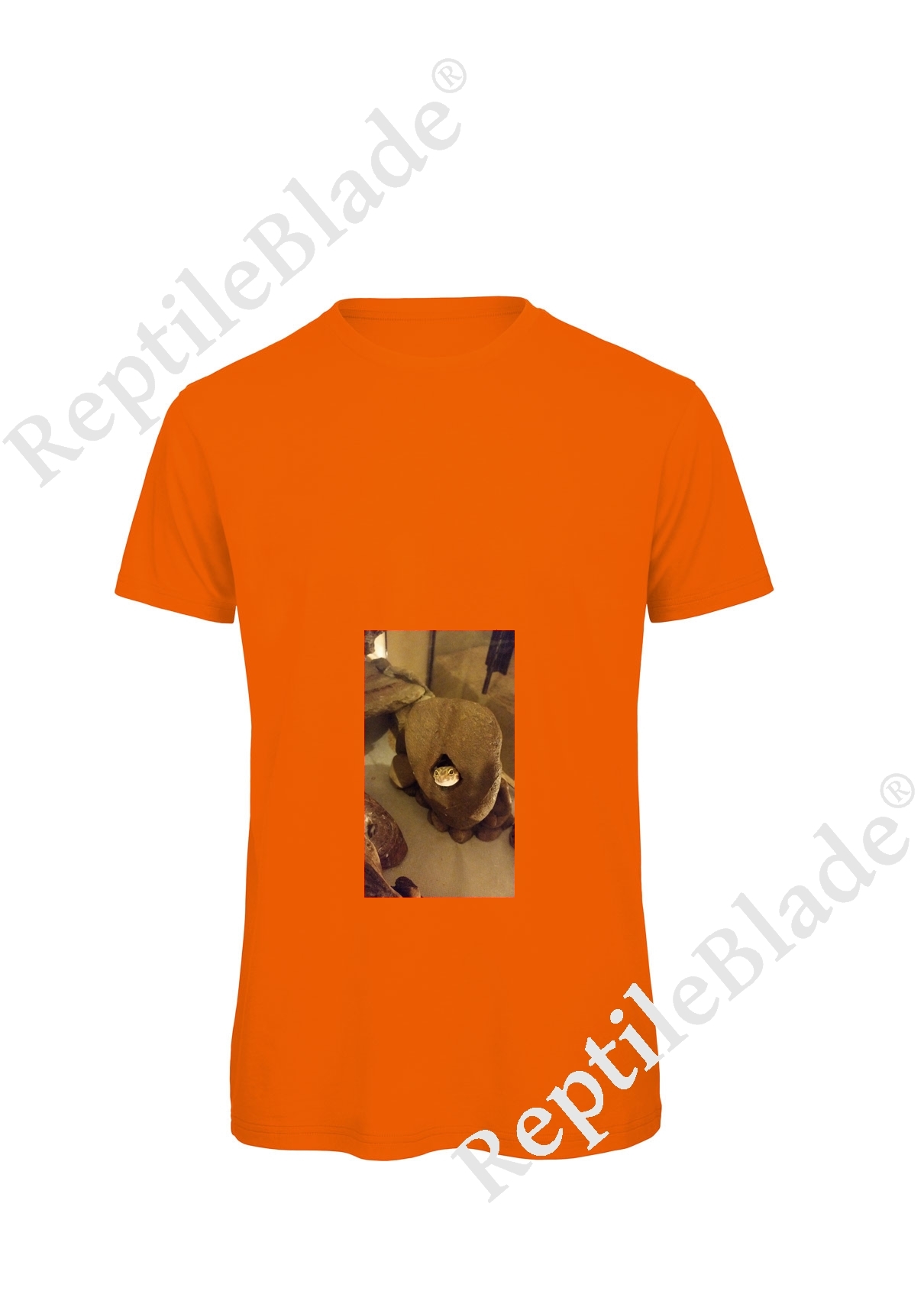 Miniature T-shirt homme "Lilo tortues"