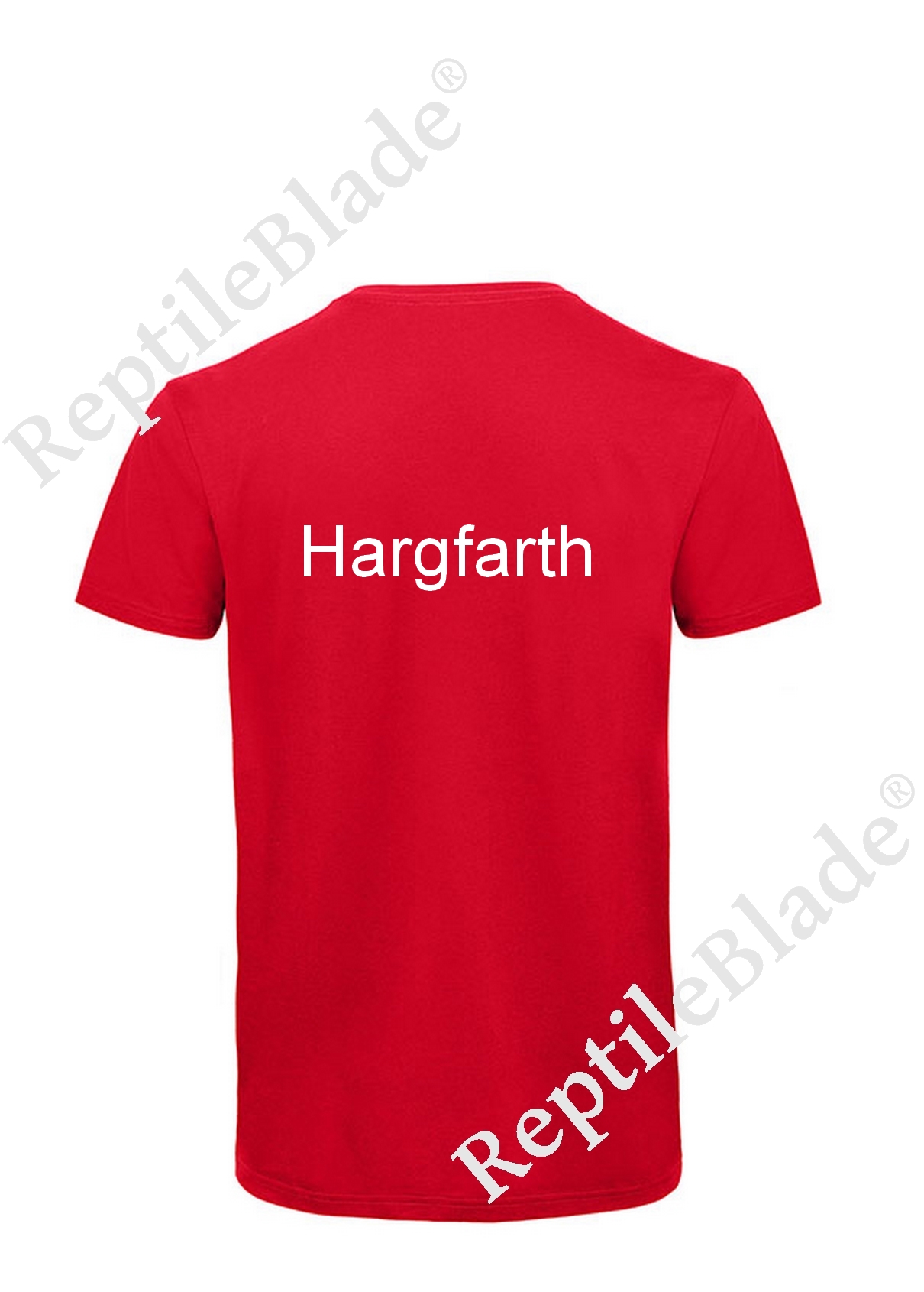 Miniature T-shirt homme col v "Hargfarth GG"