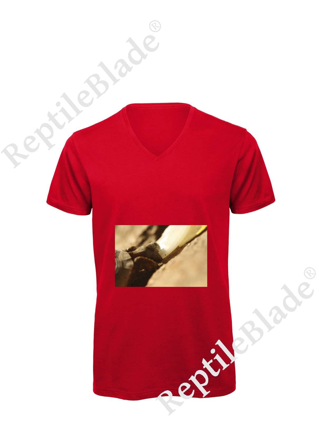Miniature T-shirt homme col v "Lilo tortues"