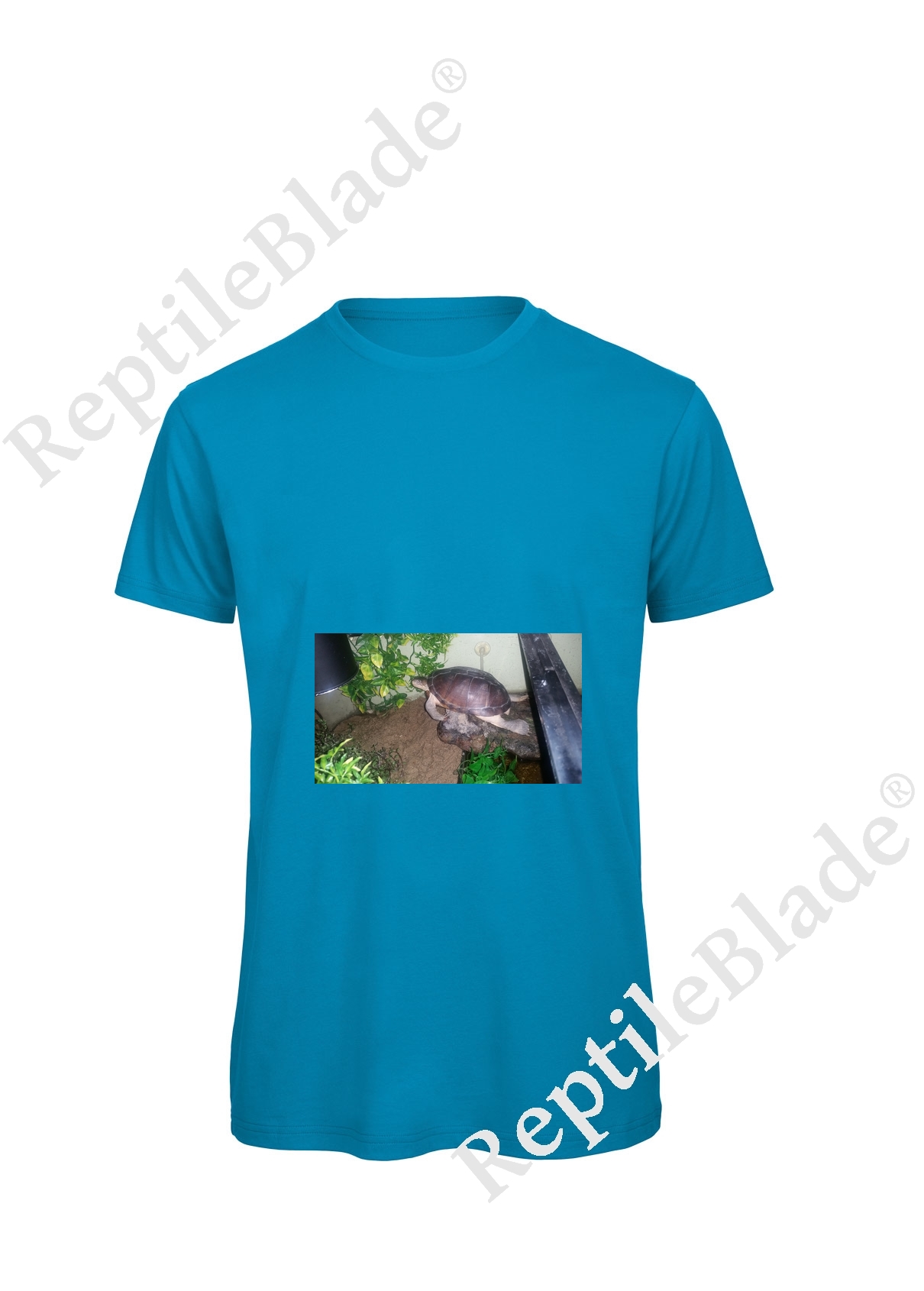 Miniature T-shirt homme "Lilo tortues"