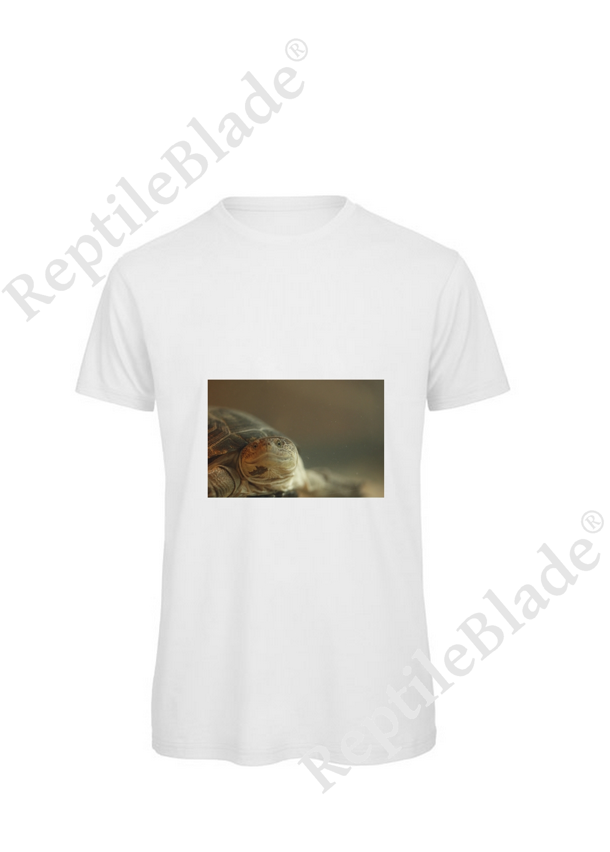 Miniature T-shirt homme "Lilo Tortues"