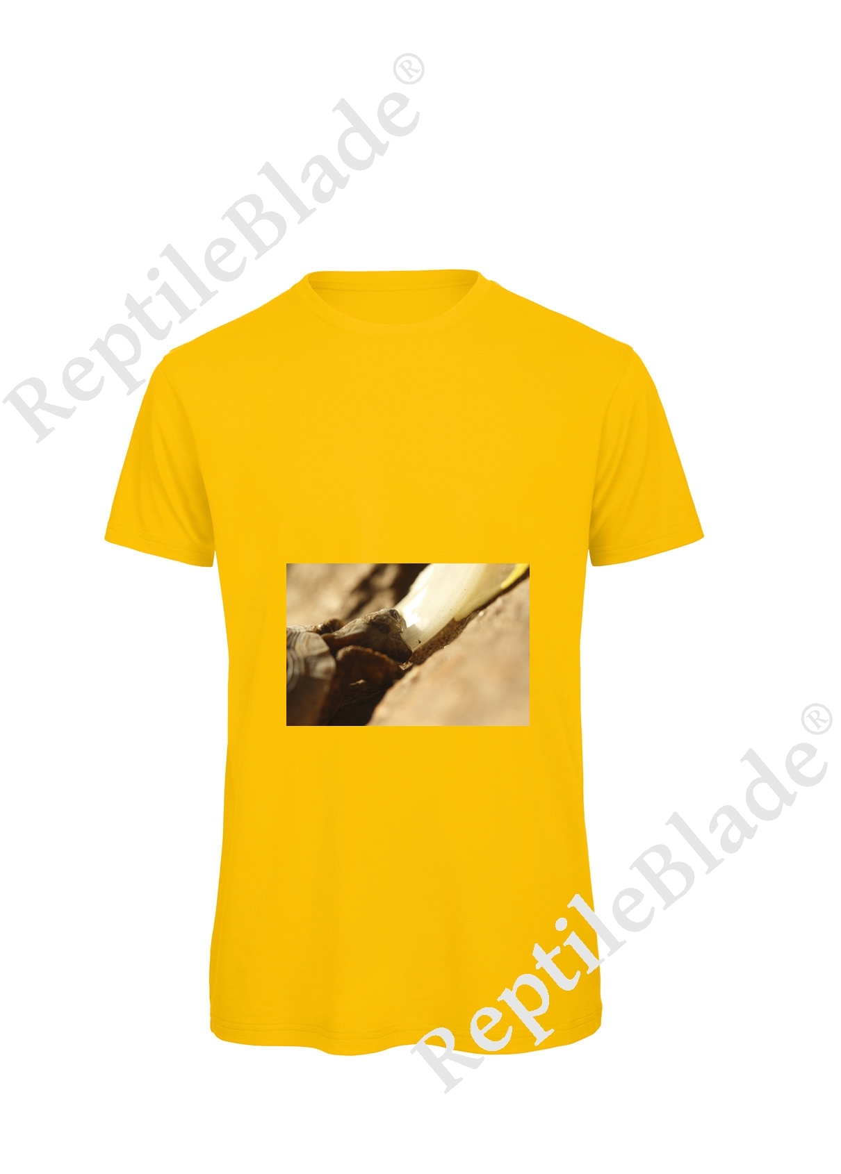 Miniature T-shirt homme "Lilo tortues"