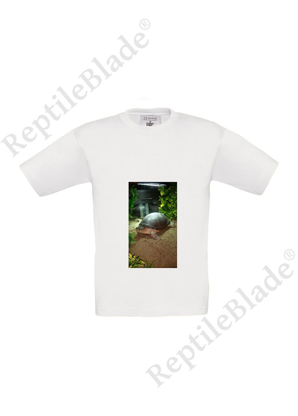 Miniatura: T-shirt enfant "Lilo tortues"