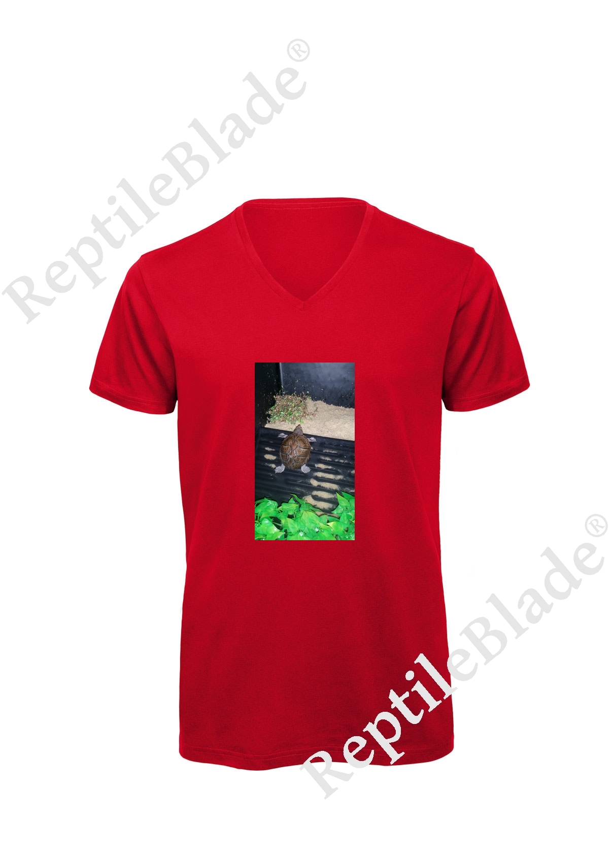Miniature T-shirt homme col v "Lilo tortues"