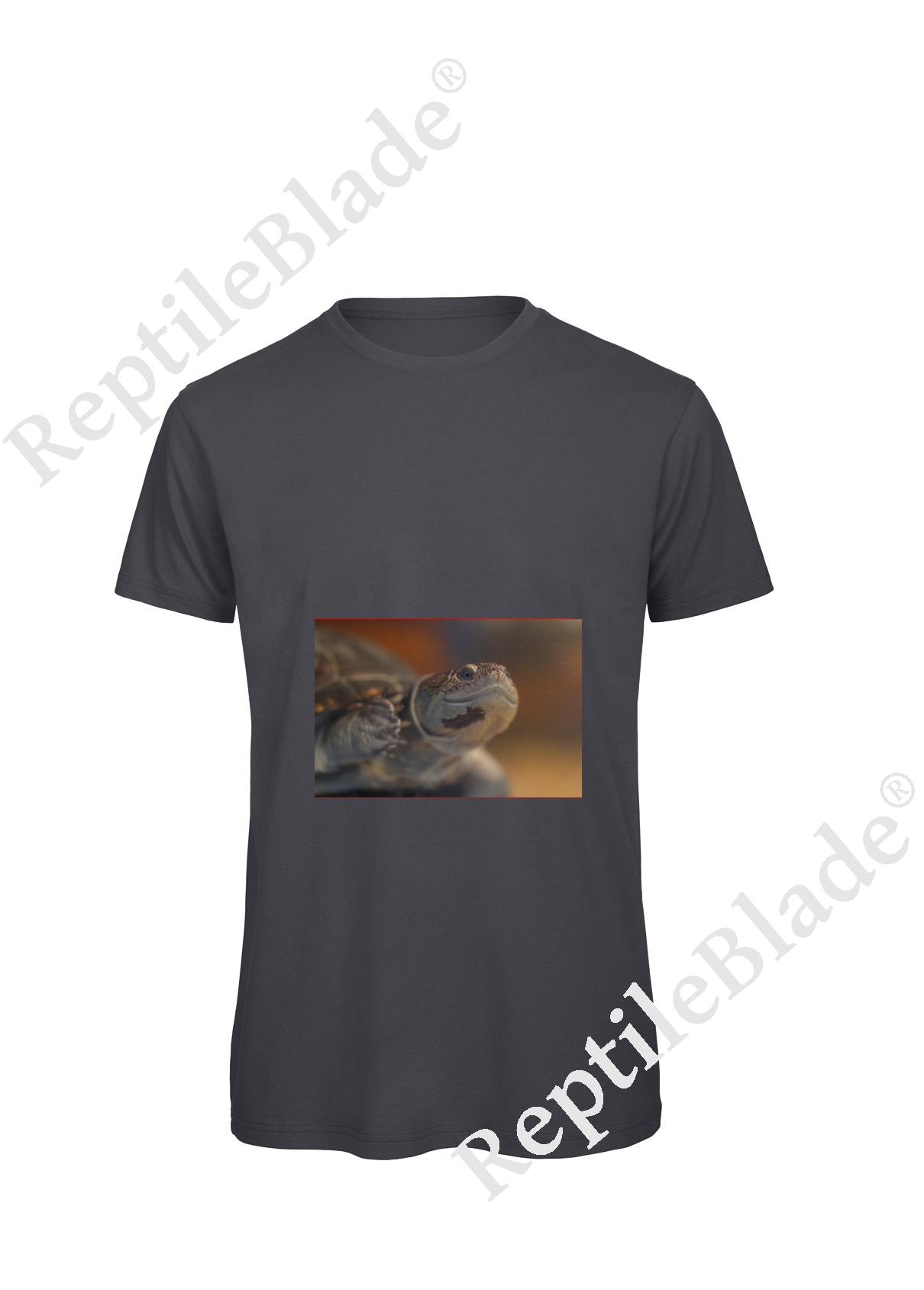 Miniature T-shirt homme "Lilo Tortues"