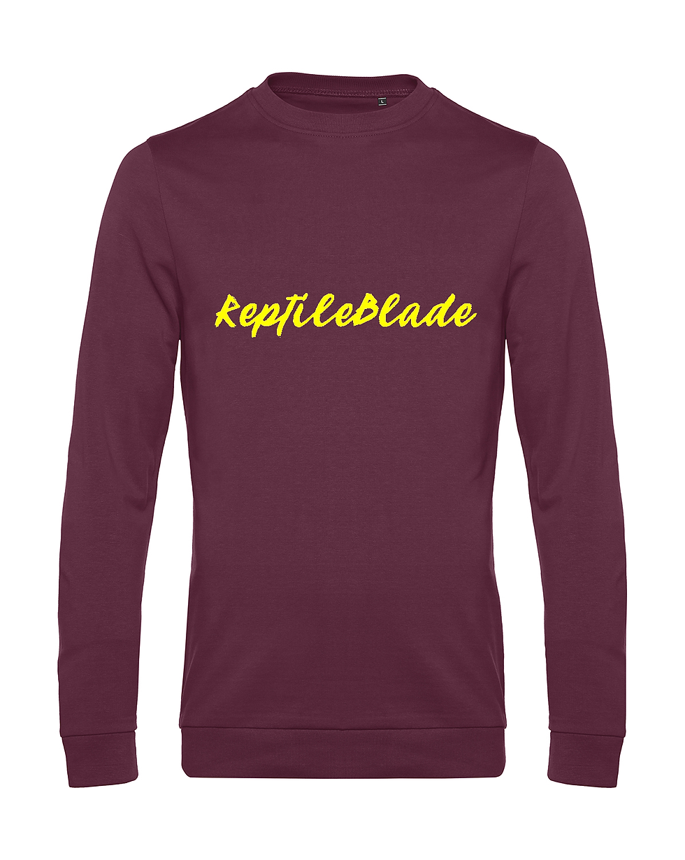 Miniatura: Sweat-shirt homme "ReptileBlade"