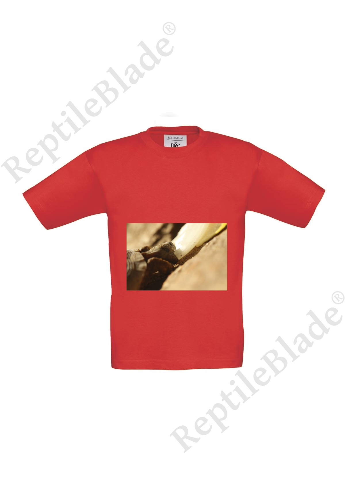 Miniature T-shirt enfant "Lilo tortues"