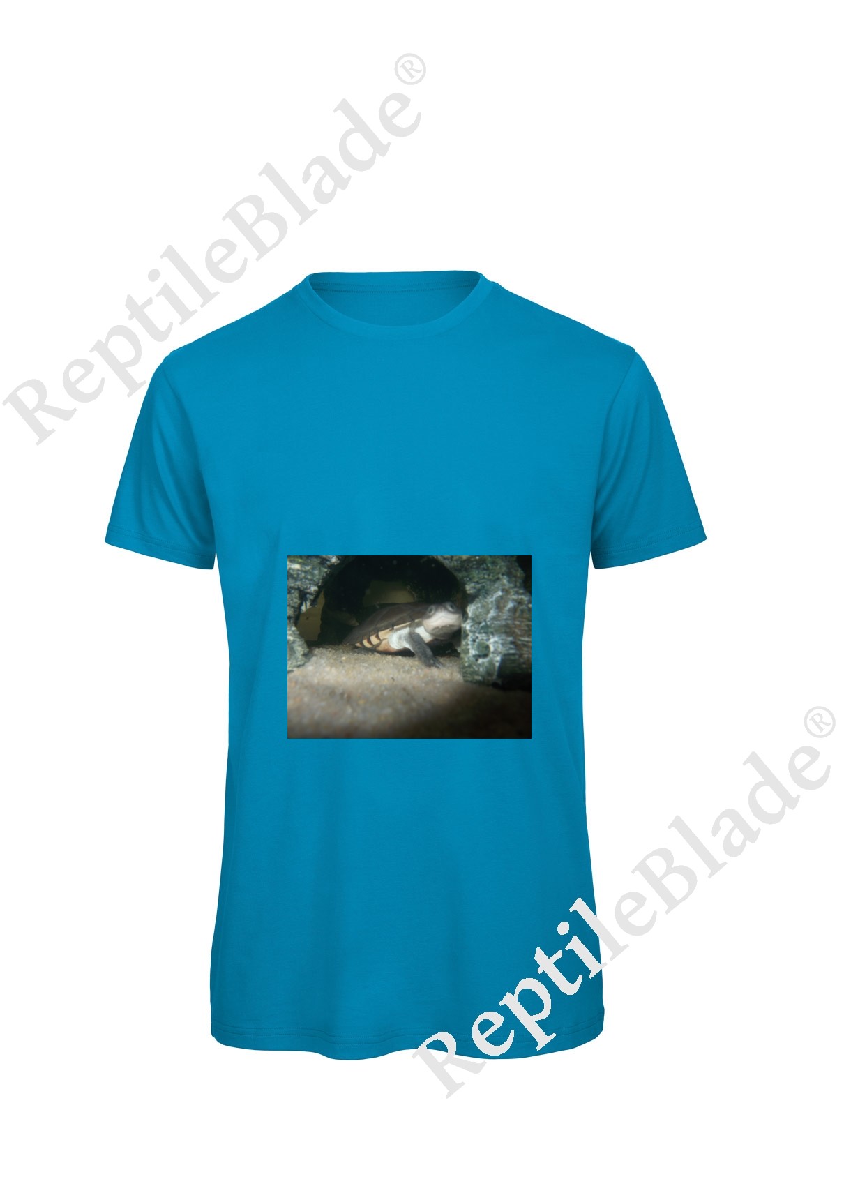 Miniature T-shirt homme "Lilo tortues"