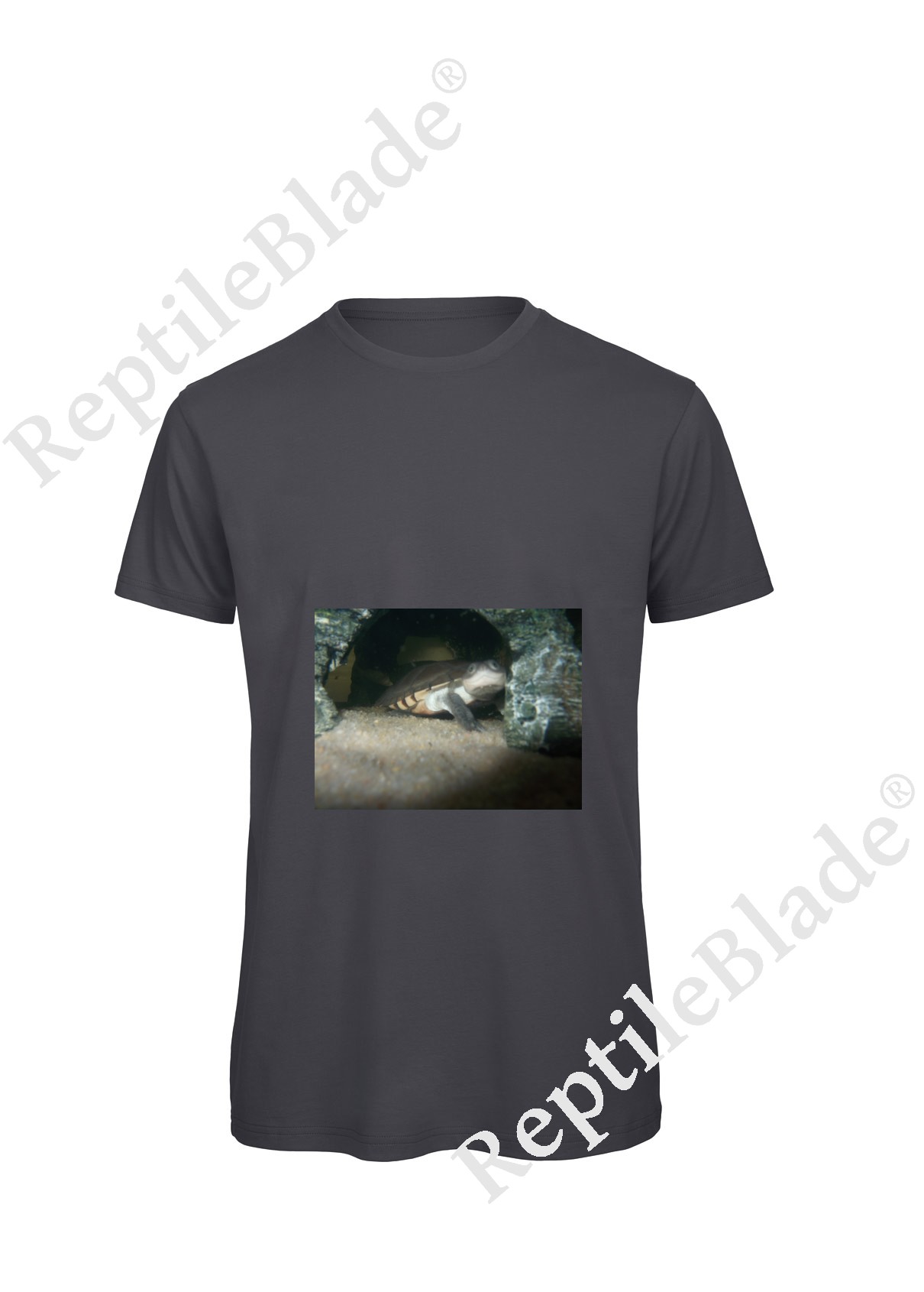 Miniature T-shirt homme "Lilo tortues"