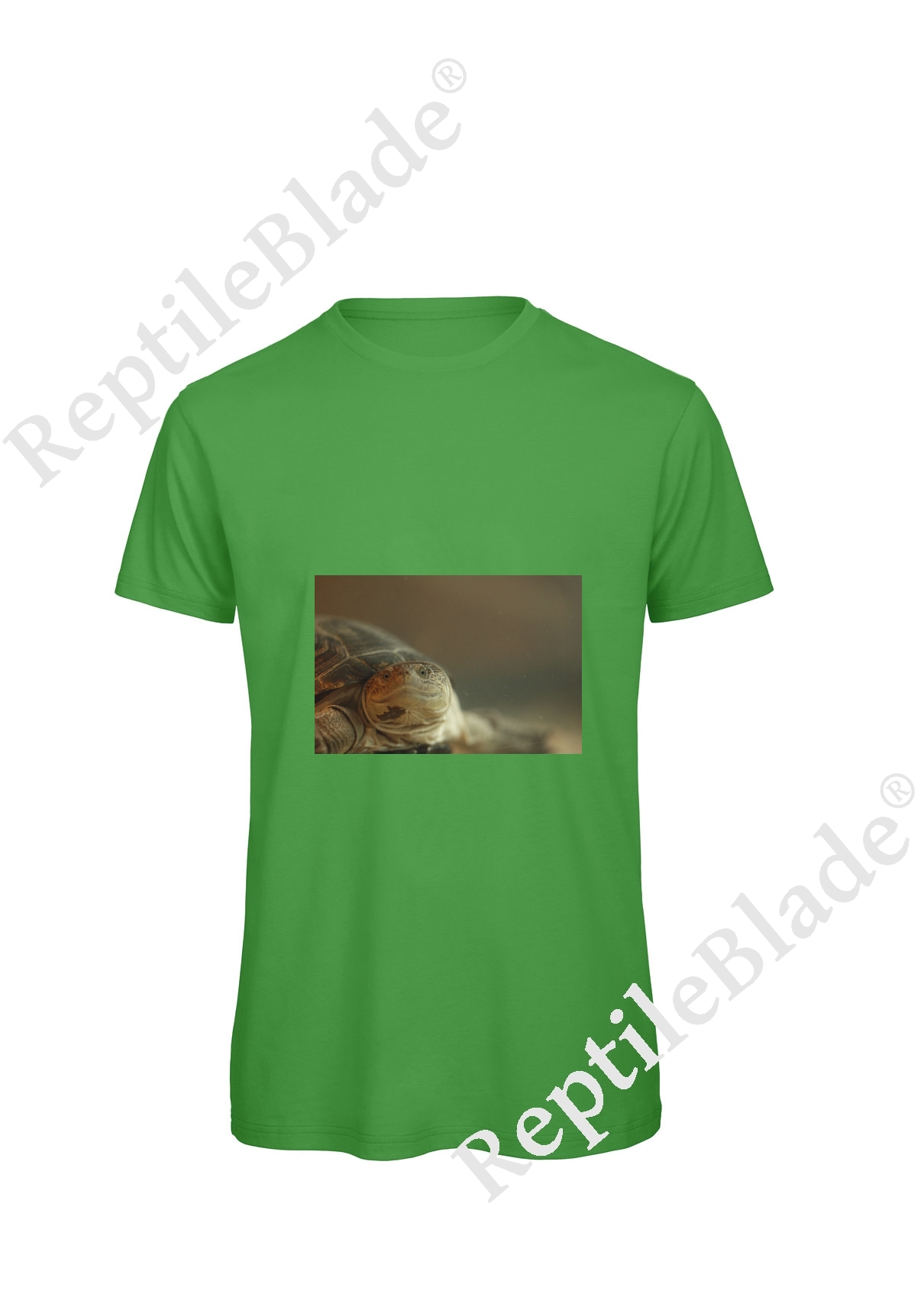 T-shirt homme "Lilo Tortues"