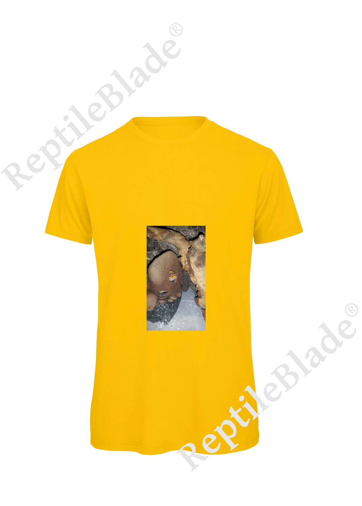 Miniature T-shirt homme "Lilo tortues"