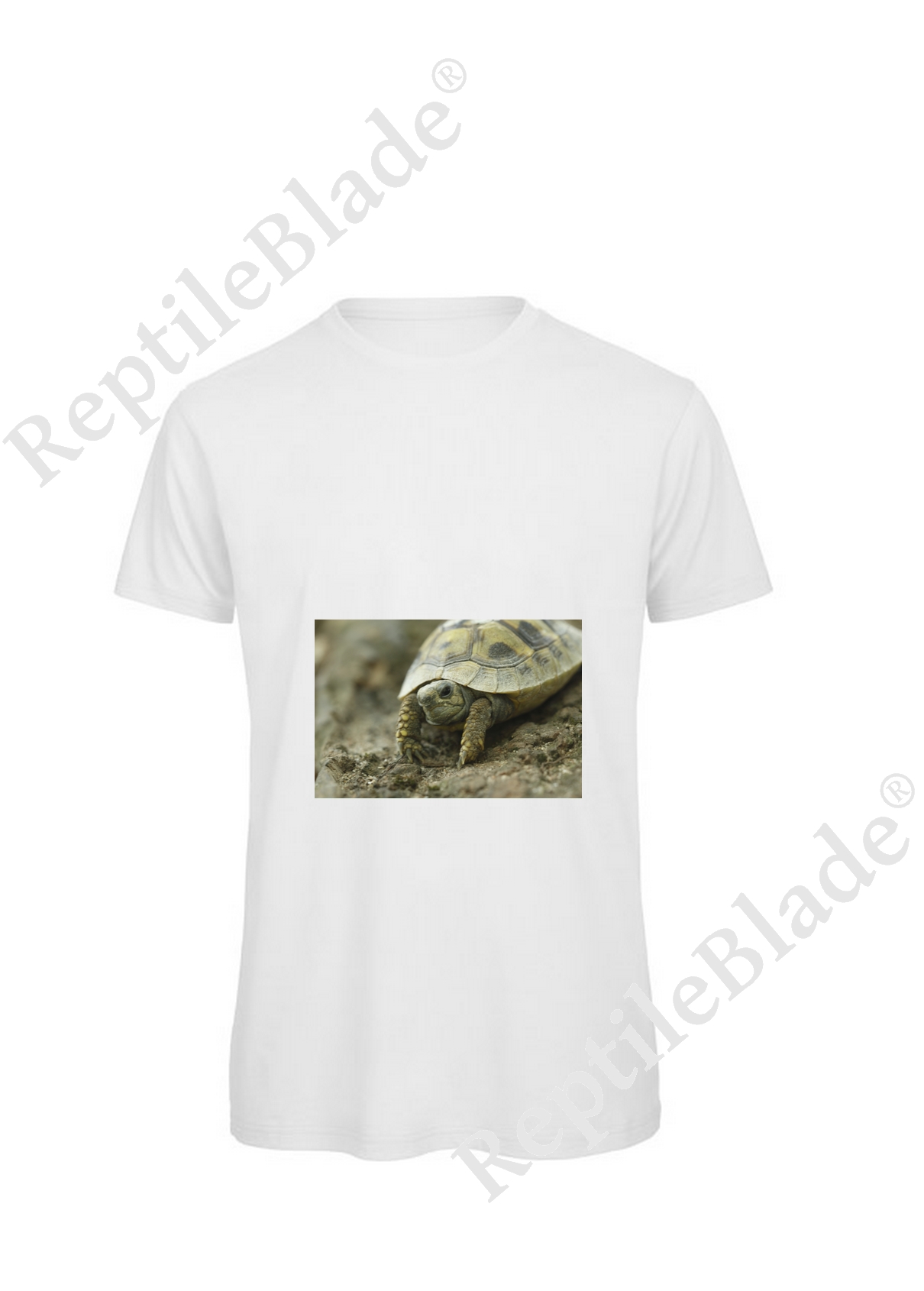 Miniature T-shirt homme "Lilo Tortues"