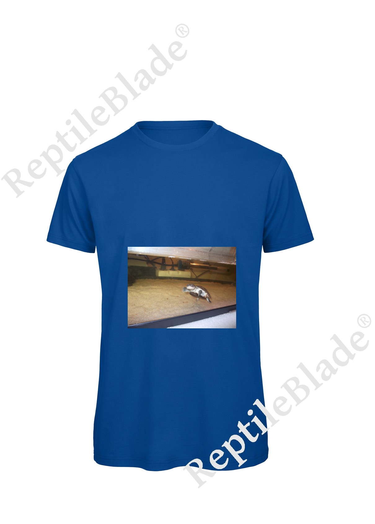 Miniature T-shirt homme "Lilo tortues"