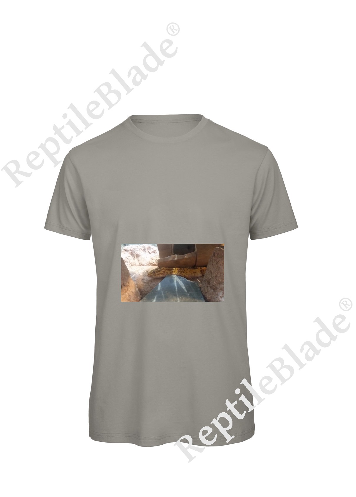 Miniature T-shirt homme "Lilo tortues"