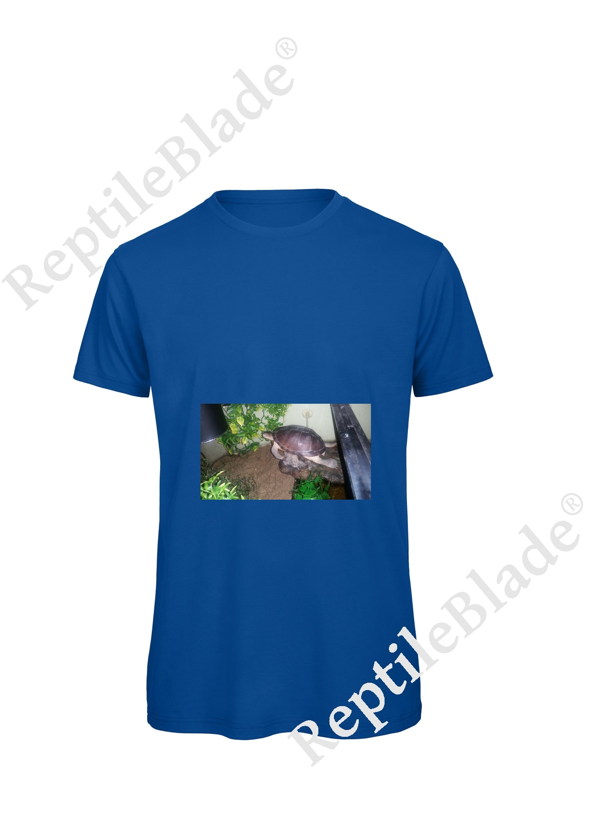 Miniature T-shirt homme "Lilo tortues"