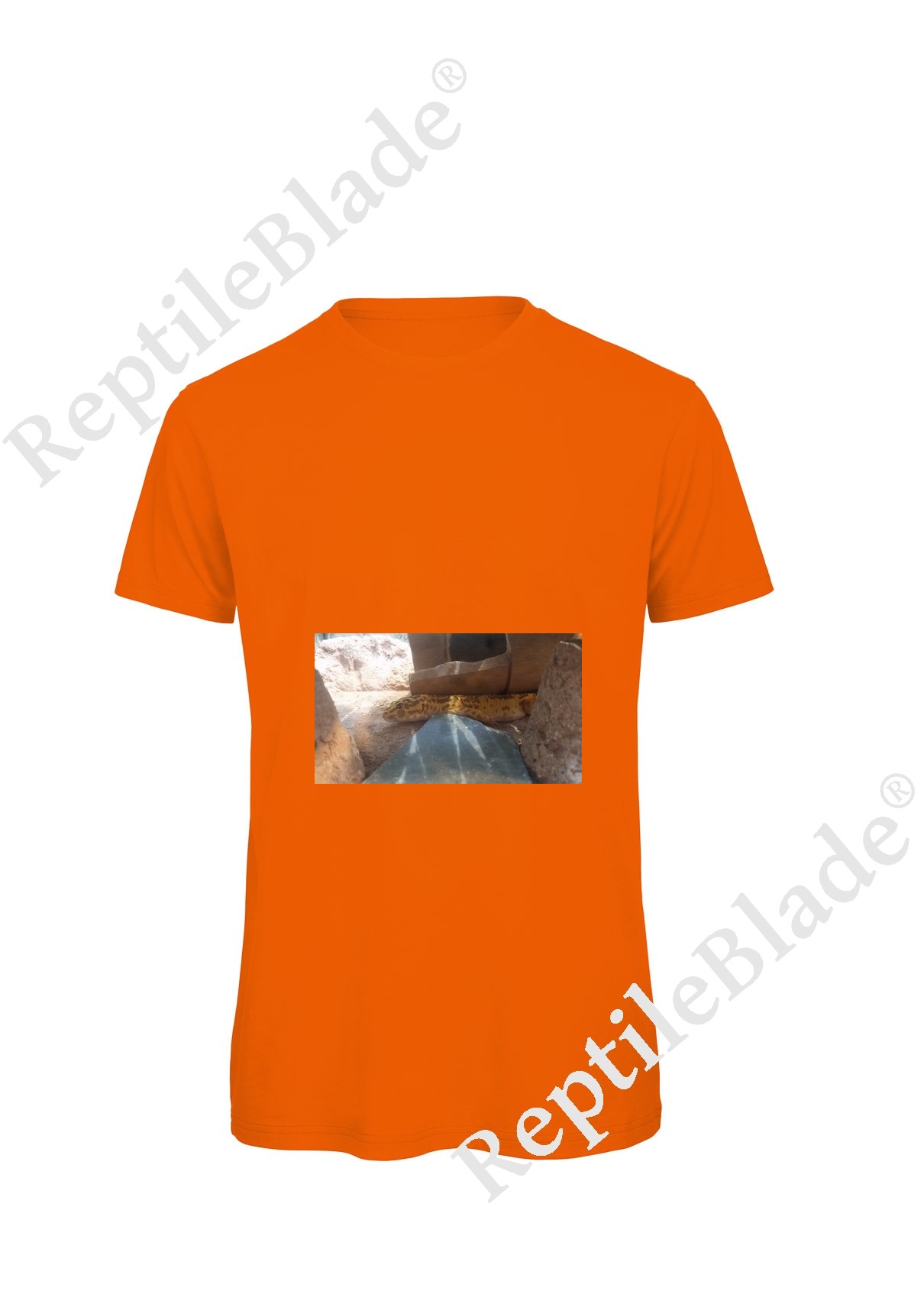 Miniature T-shirt homme "Lilo tortues"