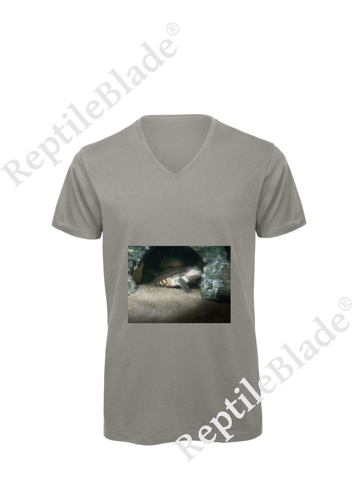 T-shirt homme col v "Lilo tortues"