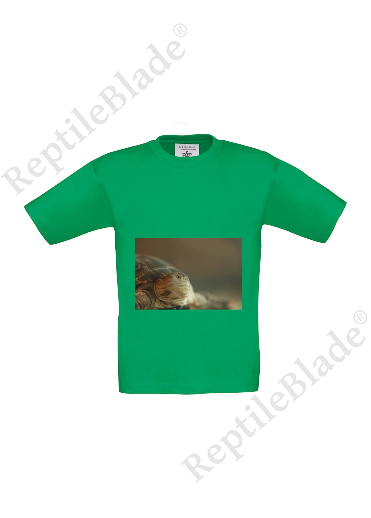 Miniature T-shirt enfant "Lilo tortues"