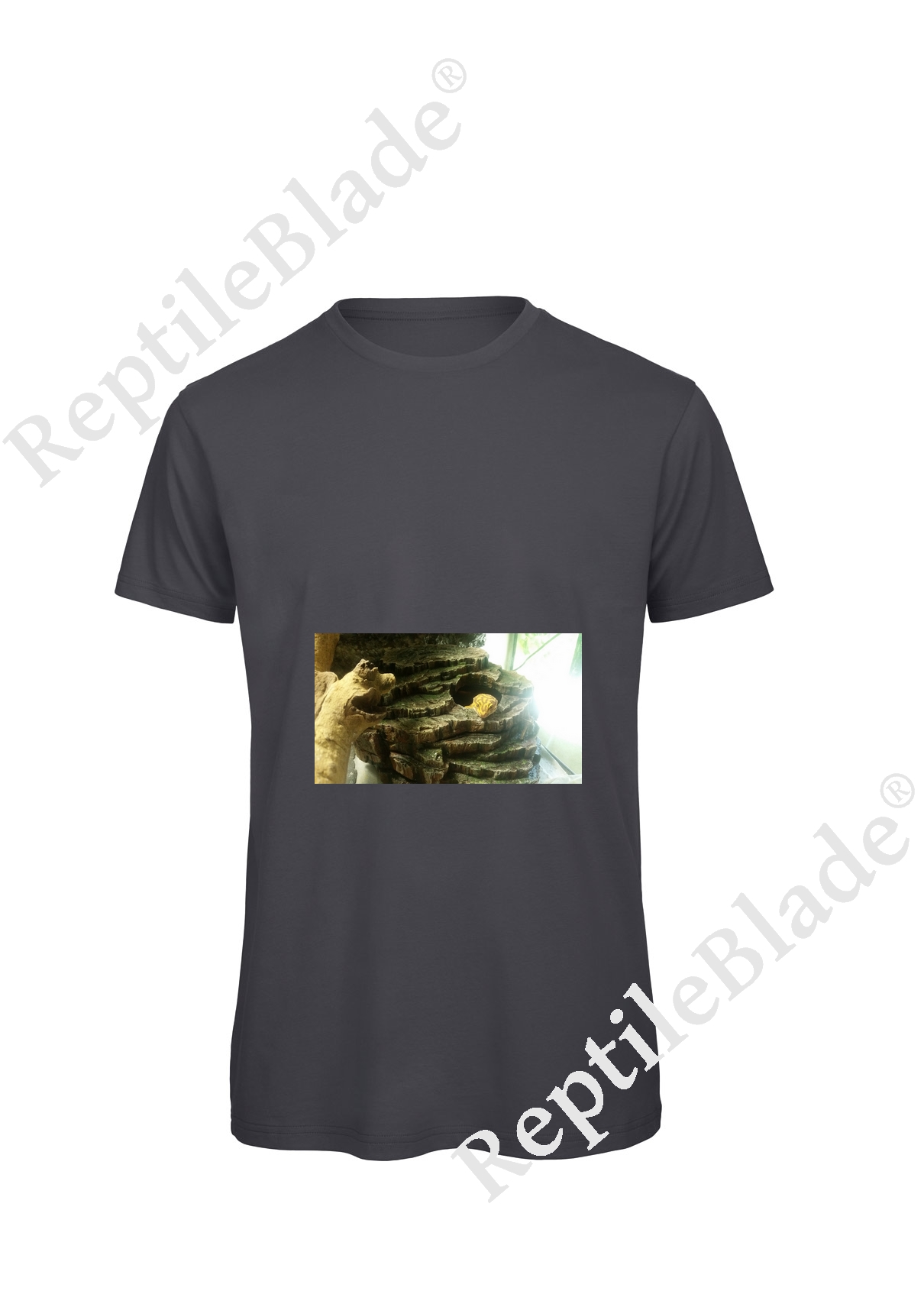 Miniature T-shirt homme "Lilo tortues"