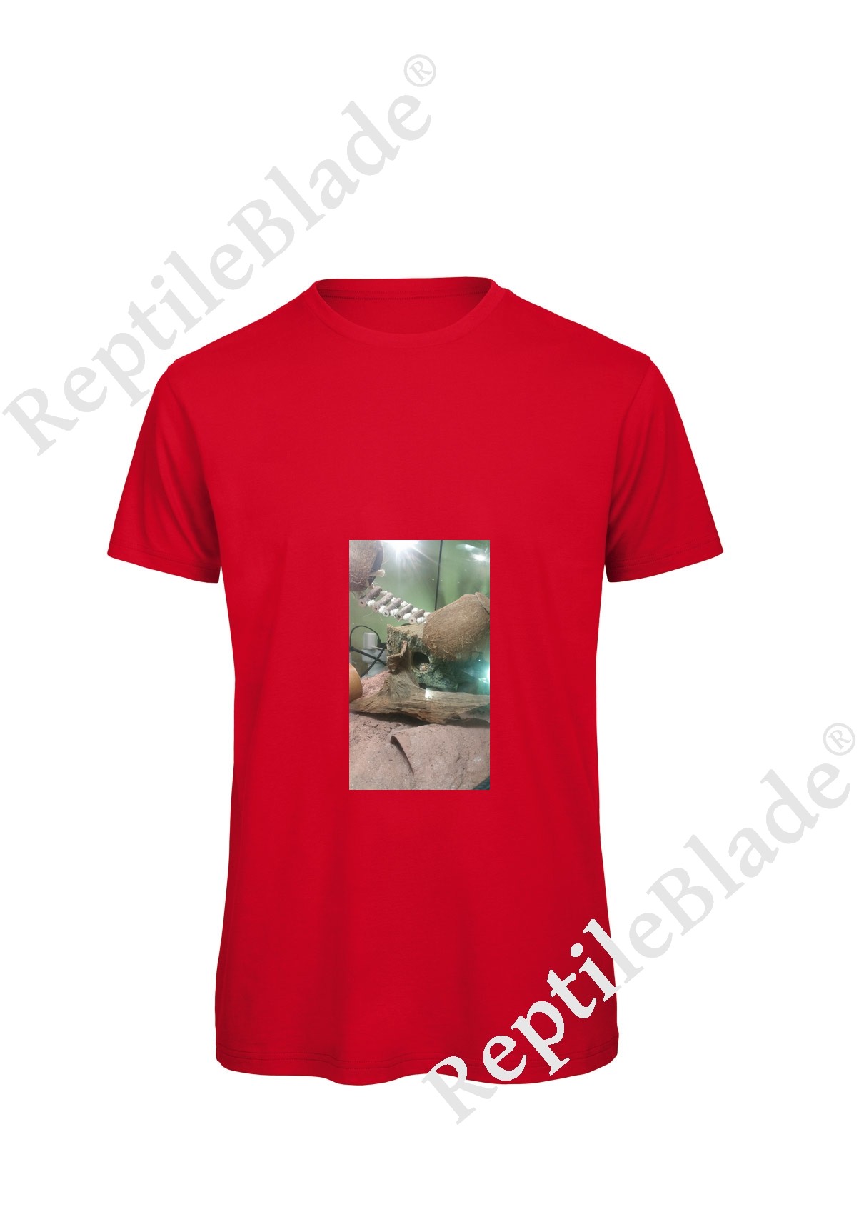Miniature T-shirt homme "Lilo tortues"