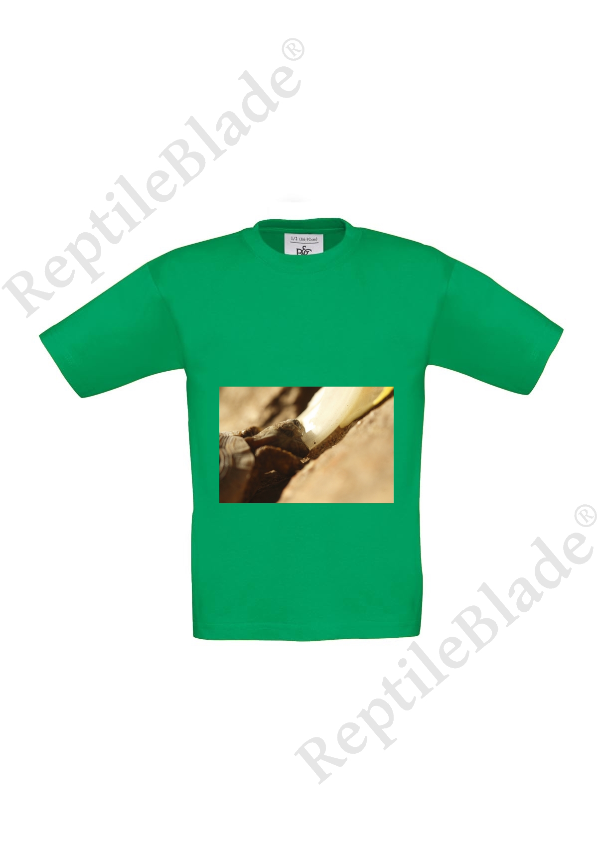 Miniature T-shirt enfant "Lilo tortues"