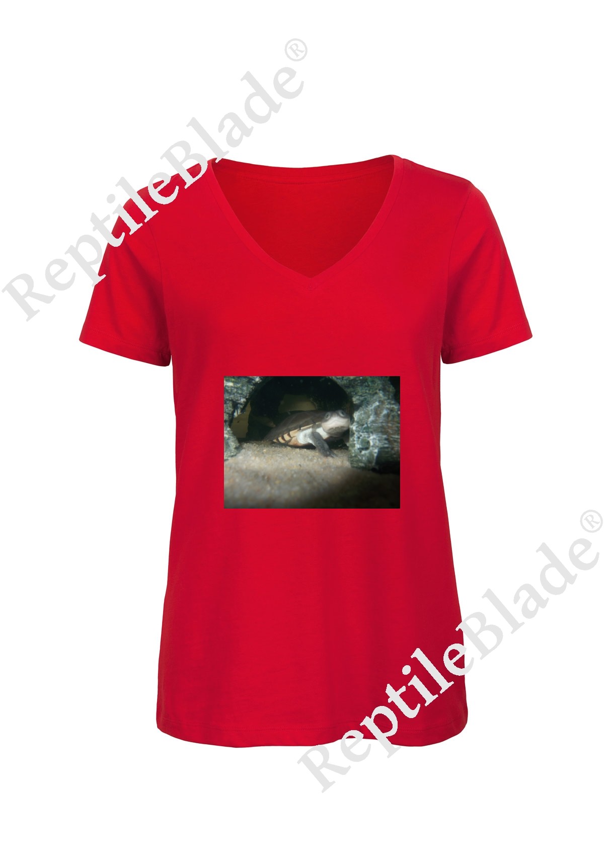 Miniature T-shirt femme col v "Lilo tortues"