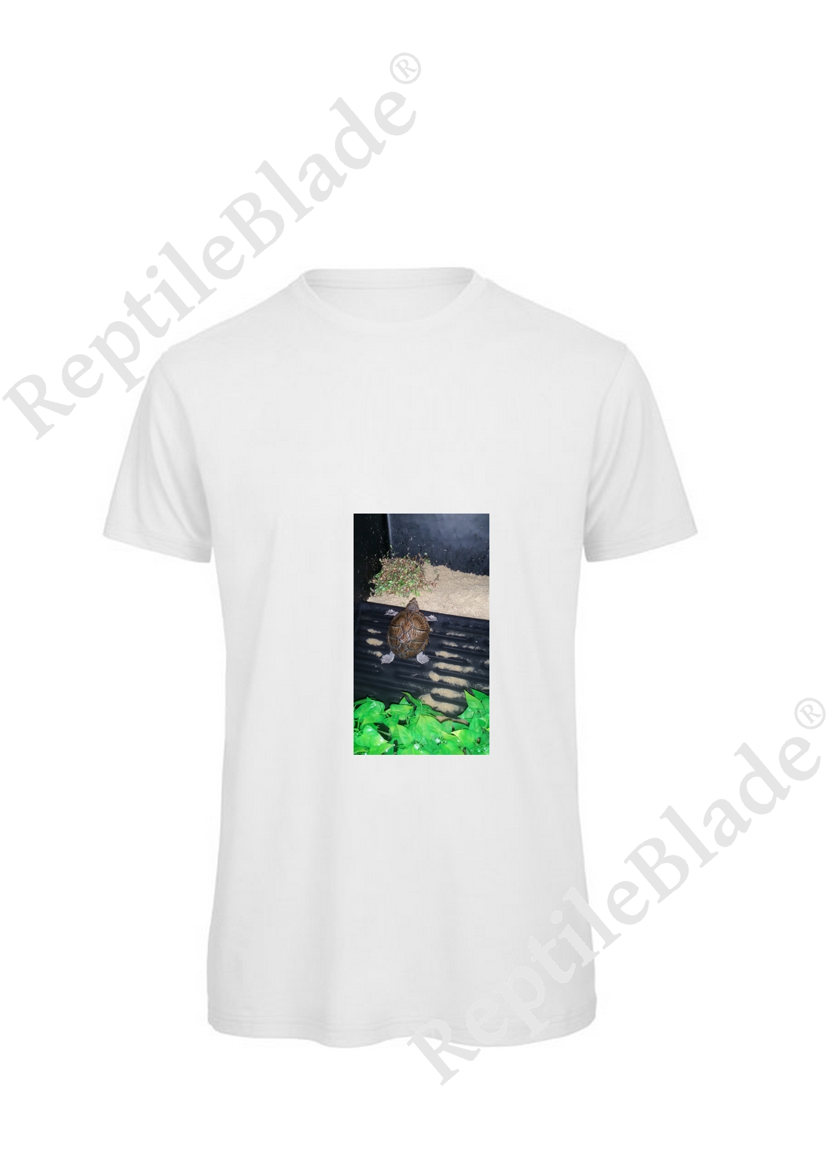 Miniature T-shirt homme "Lilo tortues"