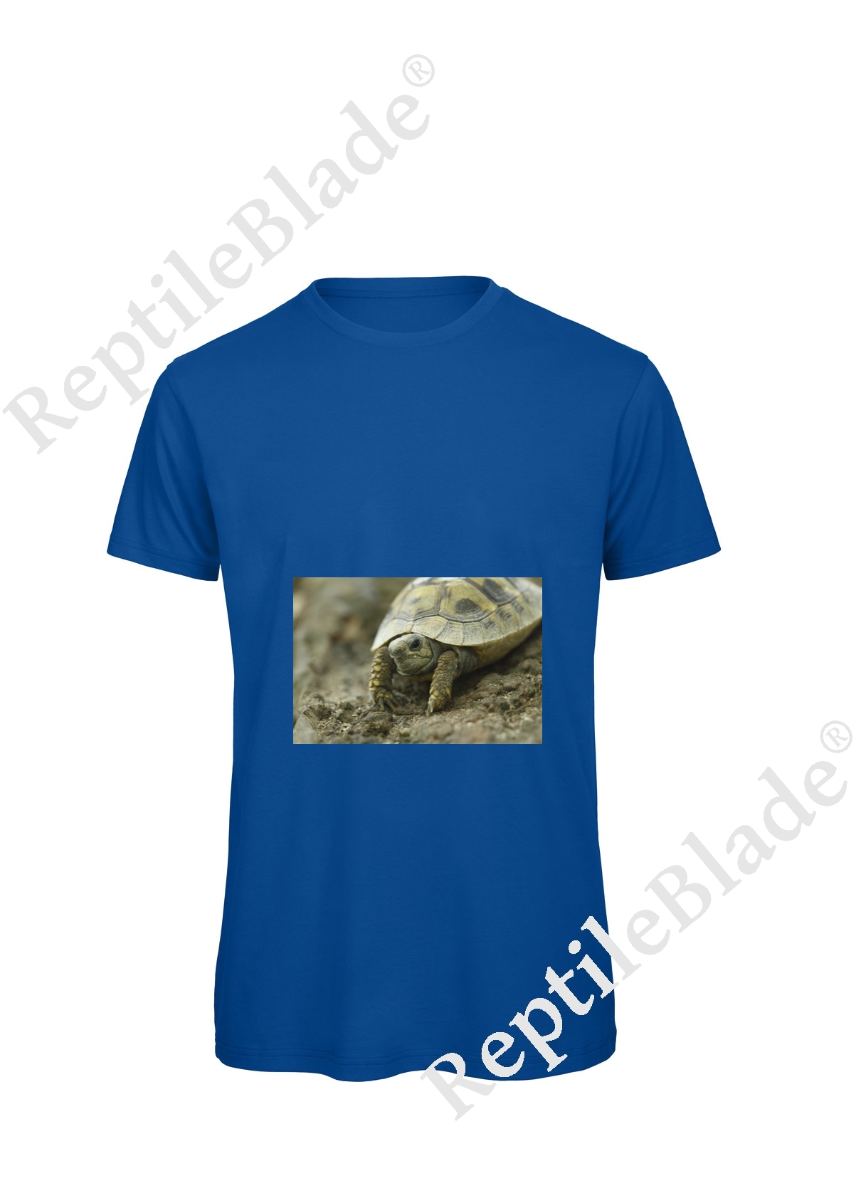Miniature T-shirt homme "Lilo Tortues"