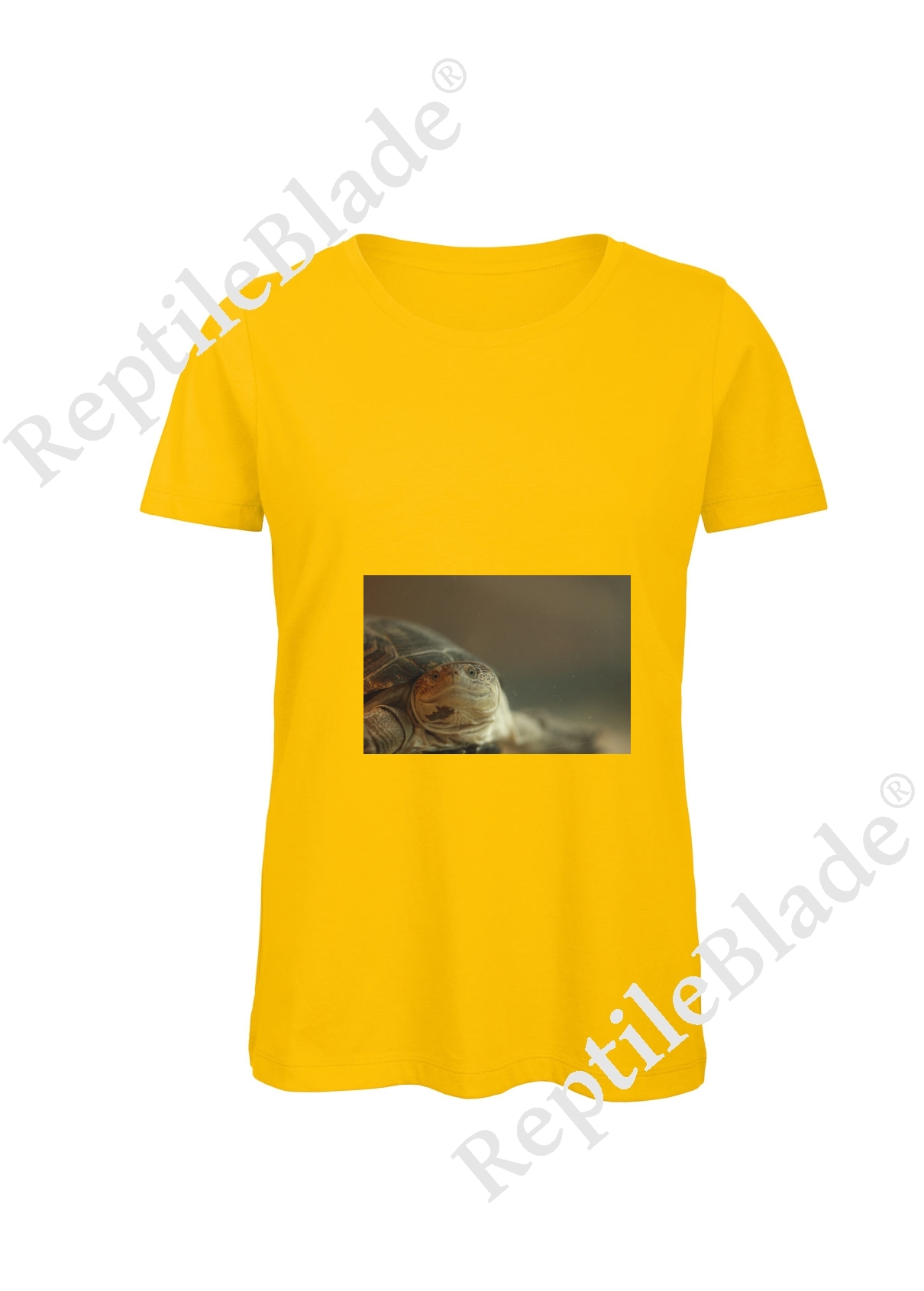 T-shirt femme "Lilo tortues"