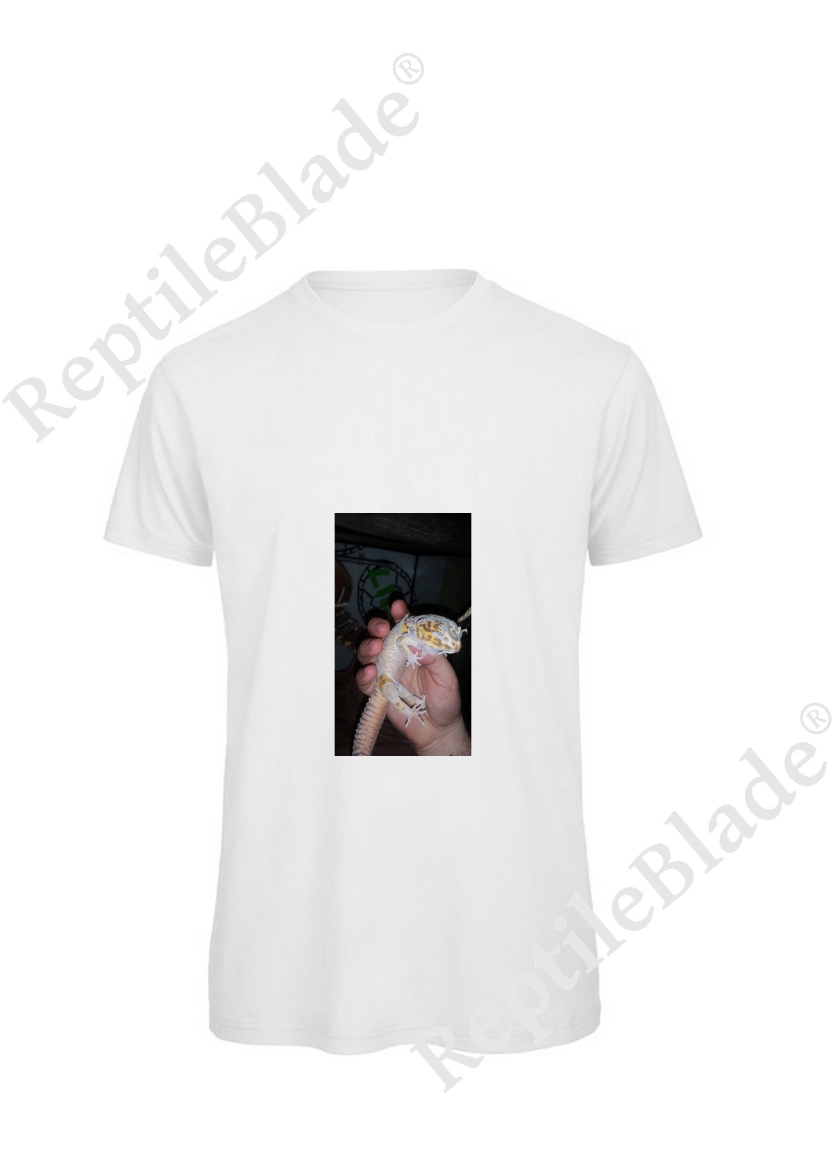 Miniature T-shirt homme "Lilo tortues"