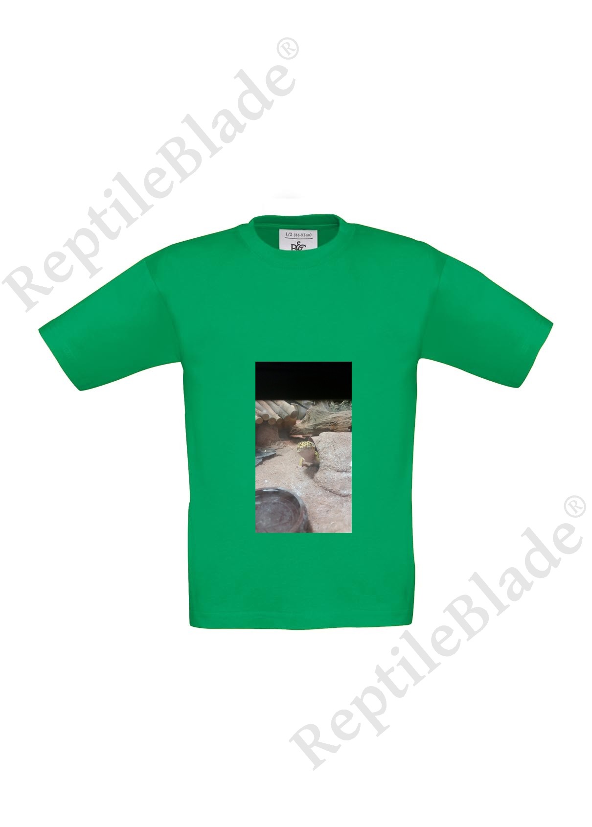 Miniature T-shirt enfant "Lilo tortues"