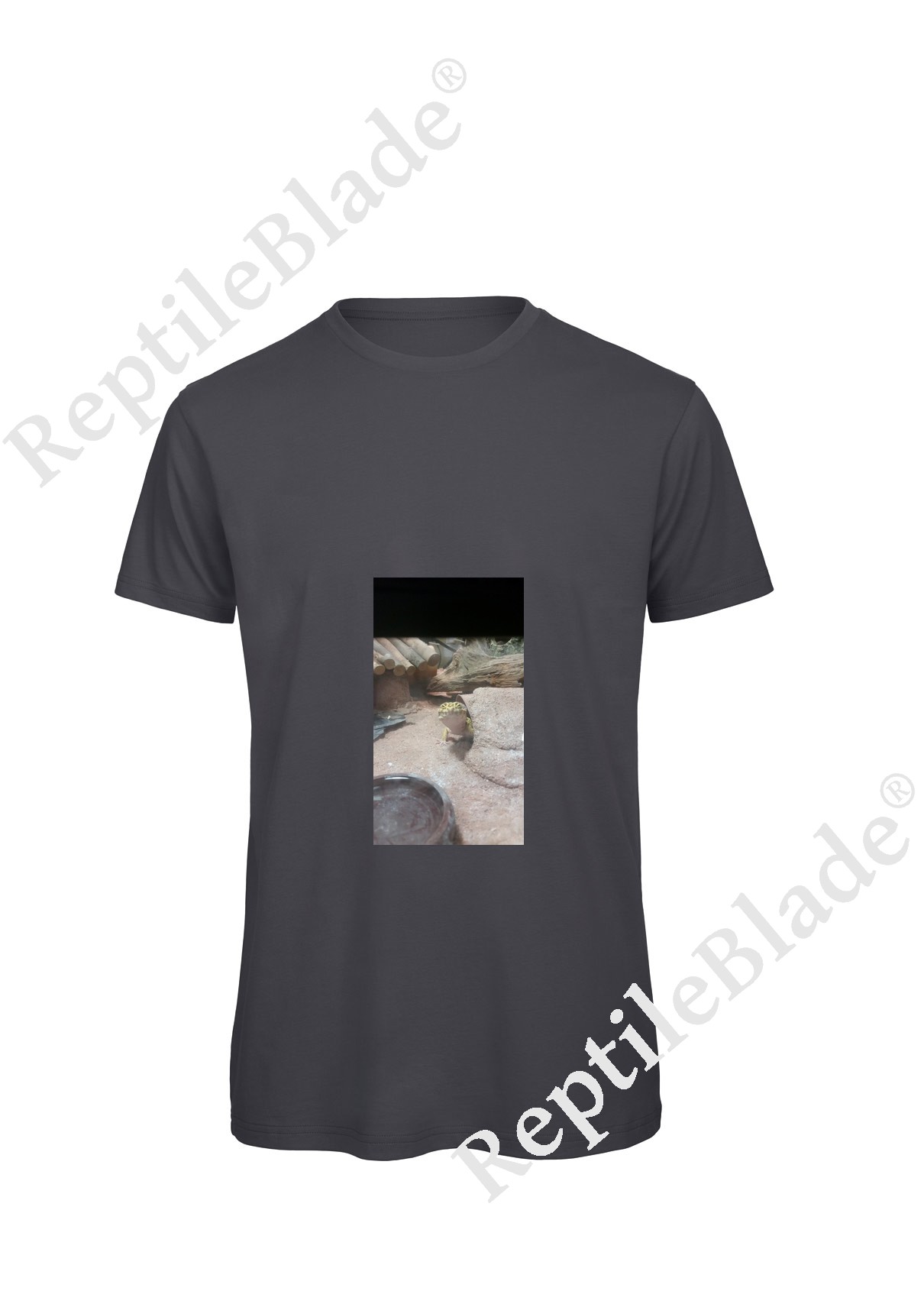 Miniature T-shirt homme "Lilo tortues"