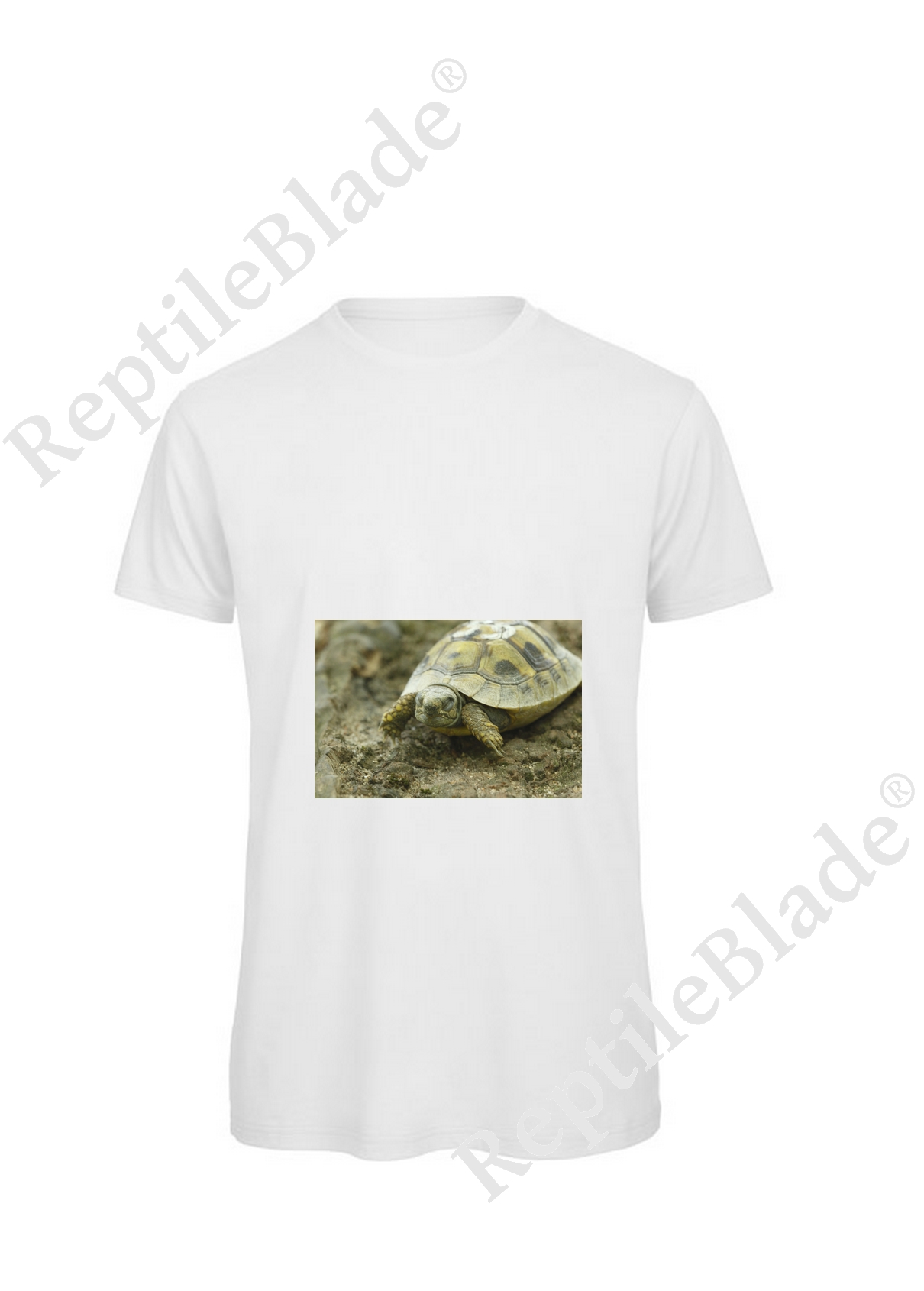Miniature T-shirt homme "Lilo Tortues"