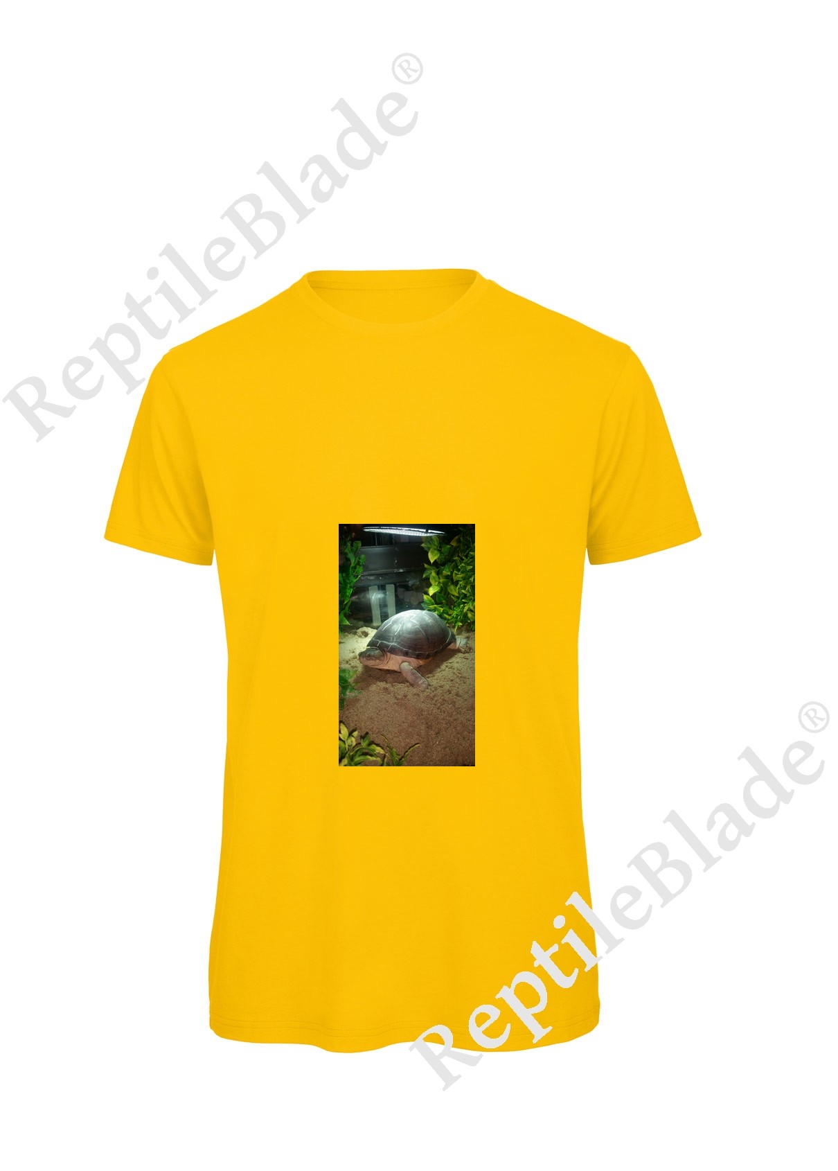 Miniature T-shirt homme "Lilo tortues"