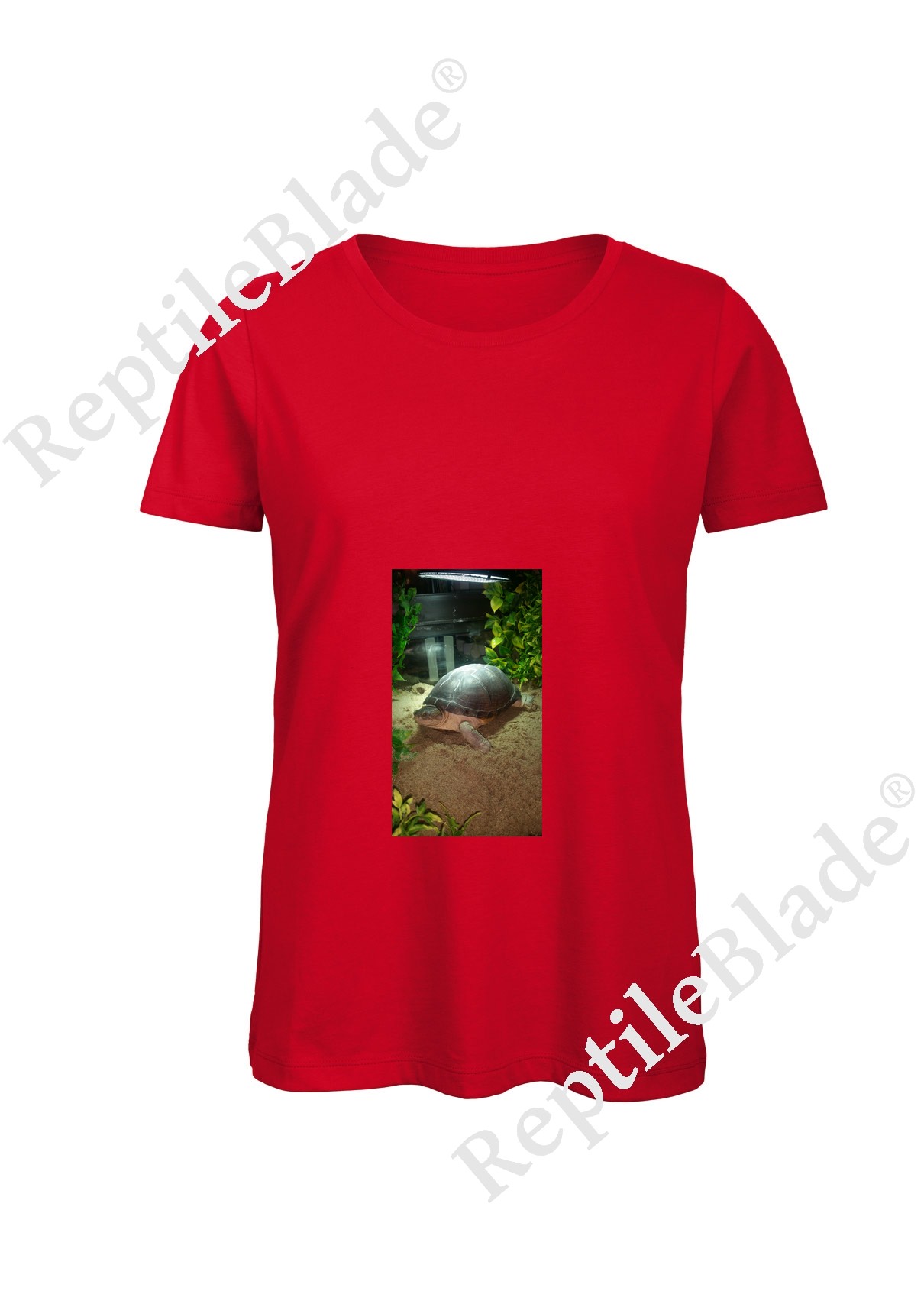 Miniature T-shirt femme "Lilo tortues"