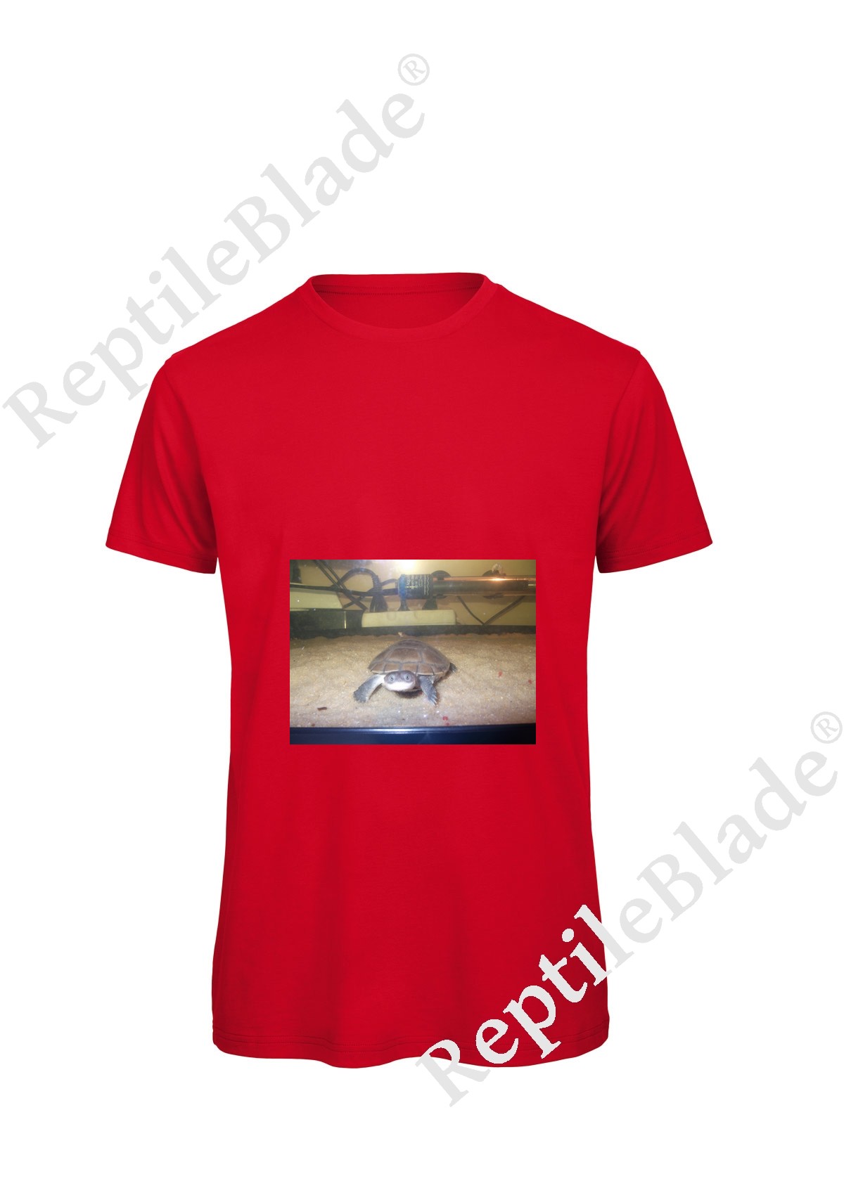 Miniature T-shirt homme "Lilo tortues"