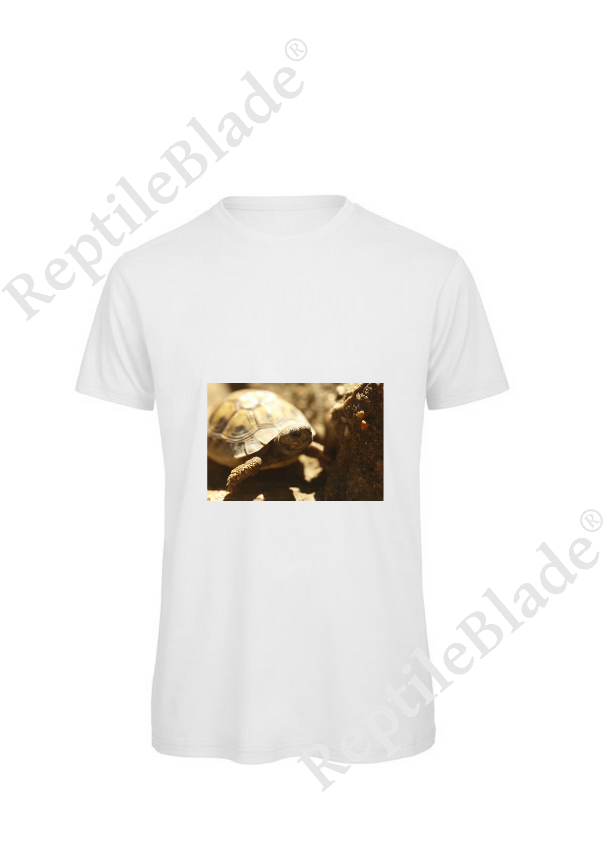 Miniature T-shirt homme "Lilo Tortues"