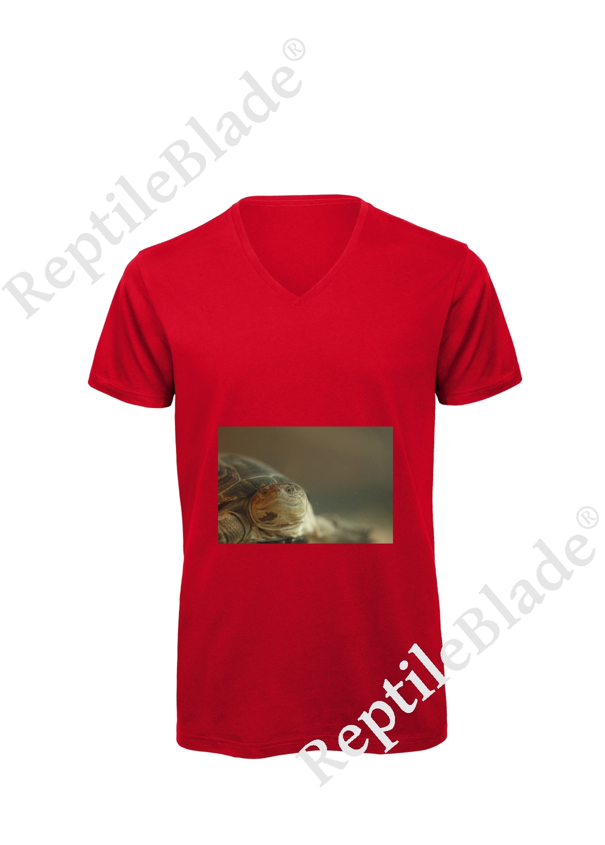 Miniature T-shirt homme col v "Lilo tortues"