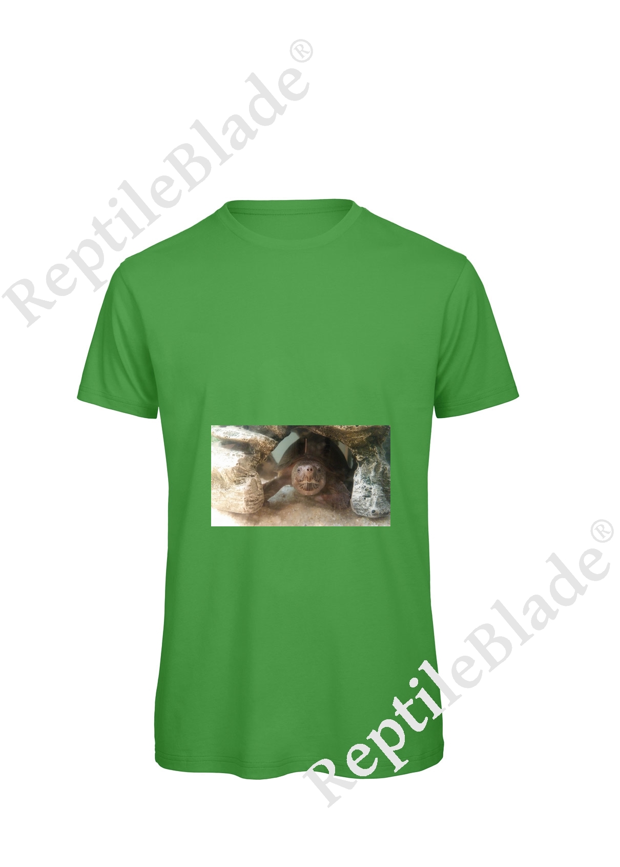 T-shirt homme "Lilo tortues"